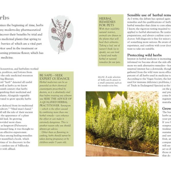 Green Housekeeping by Christina Strutt: Paperback; 192 pages, English - Image 5