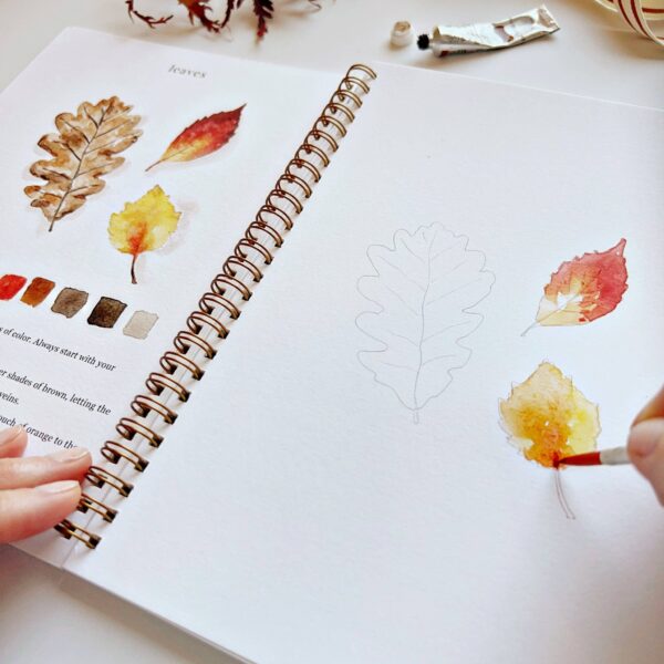 emily lex studio - Autumn watercolor workbook - Image 4