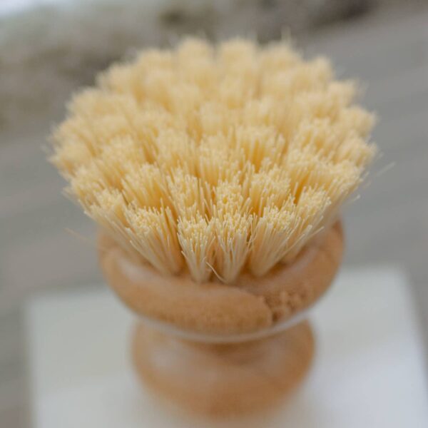 Dish Brush - Image 4