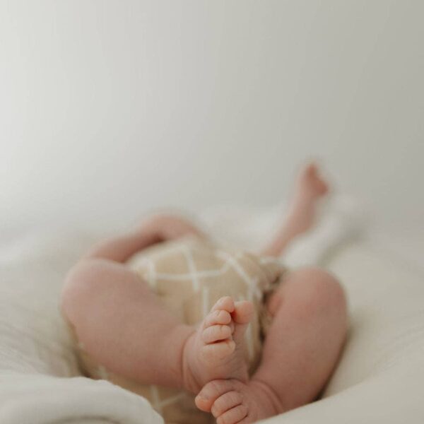 Bamboo Zip Shortie | Grid: 6-12 Months - Image 18