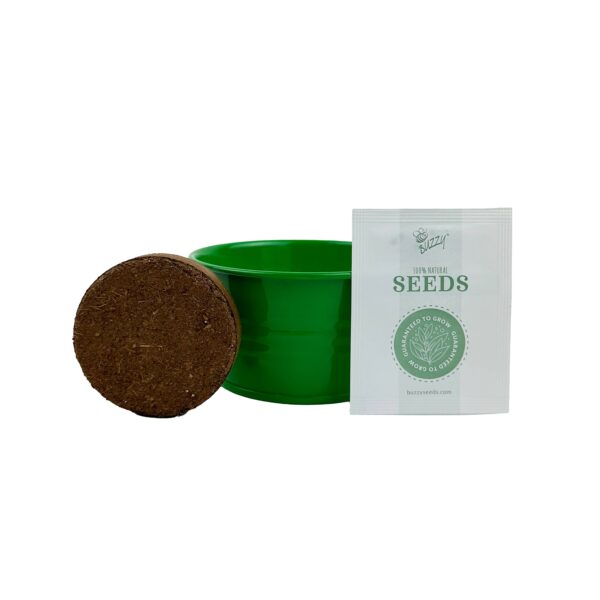 Buzzy Seeds Kids Mini Basin - Strawberry Grow Kit - Image 4