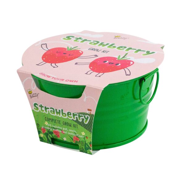 Buzzy Seeds Kids Mini Basin - Strawberry Grow Kit - Image 5