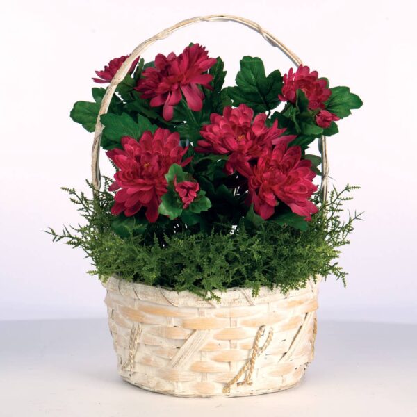 RD BAMBOO OH - Image 3