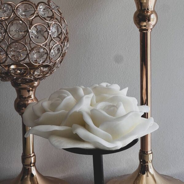 Rose Candle 2x5.5in Cream, Honeysuckle Jasmine - Image 11