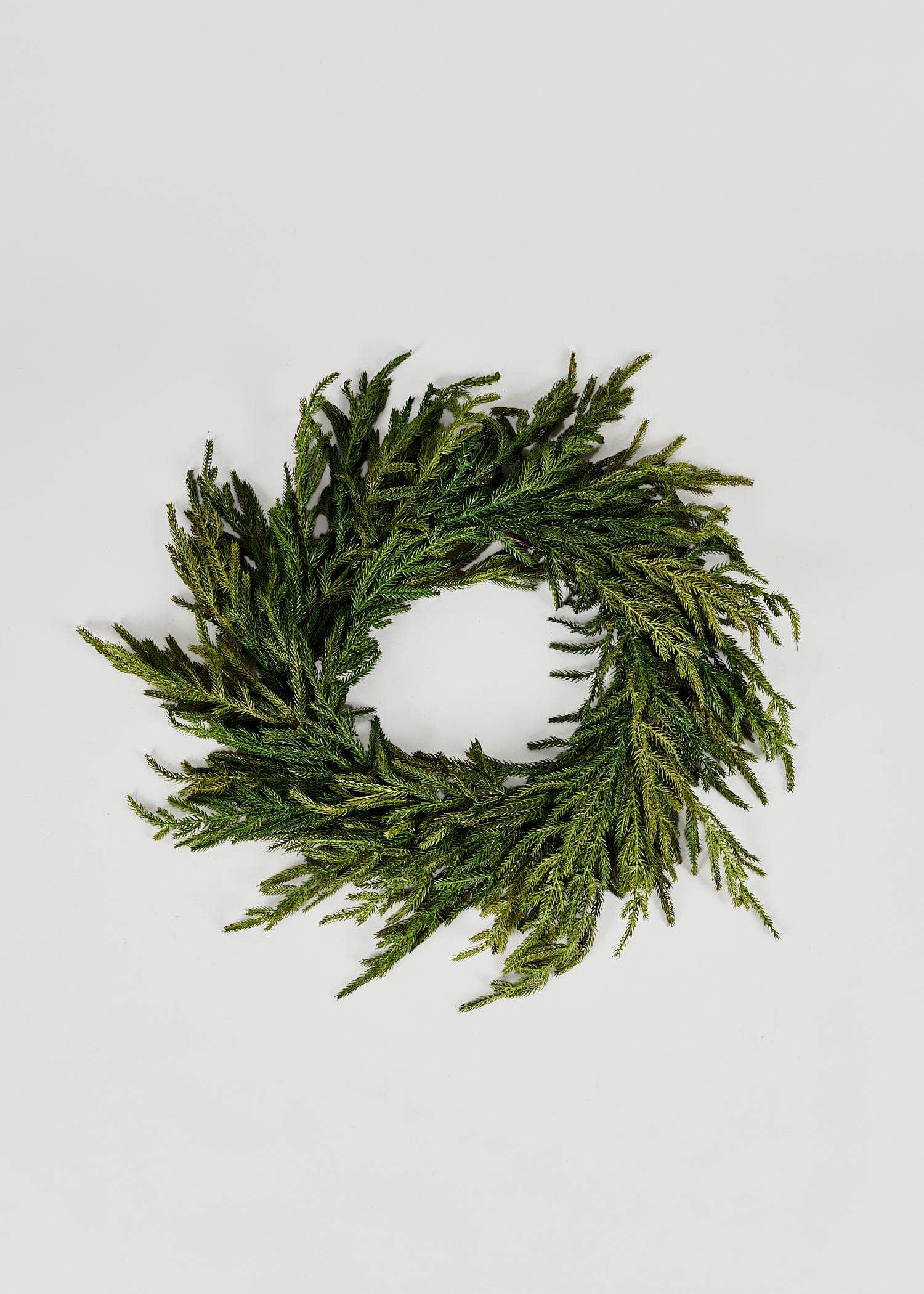Afloral - Afloral Real Touch Norfolk Pine Wreath - 24"