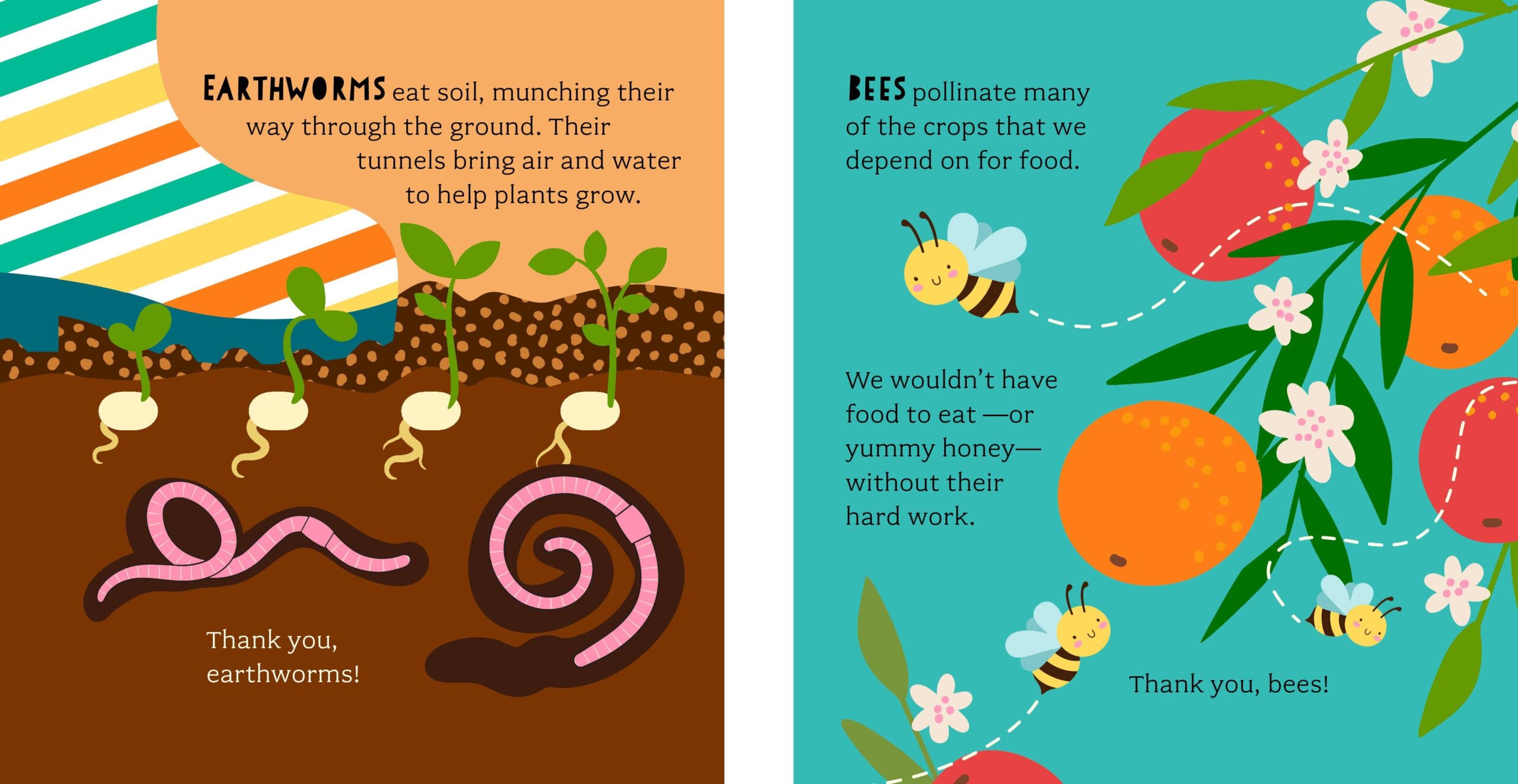 Bathtub Genius: Let's Learn About Bugs - Image 5