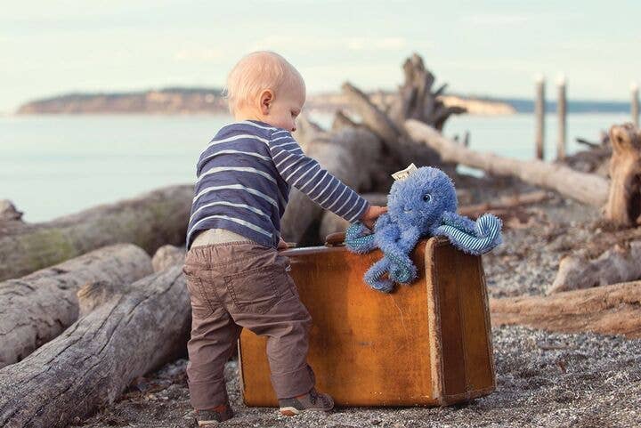 Ocho the Octopus - Image 2