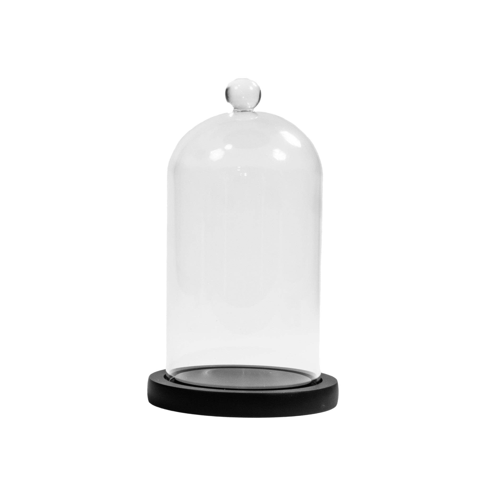 ENVIRONMENT - Clear Glass Cloches with Black Wood Case