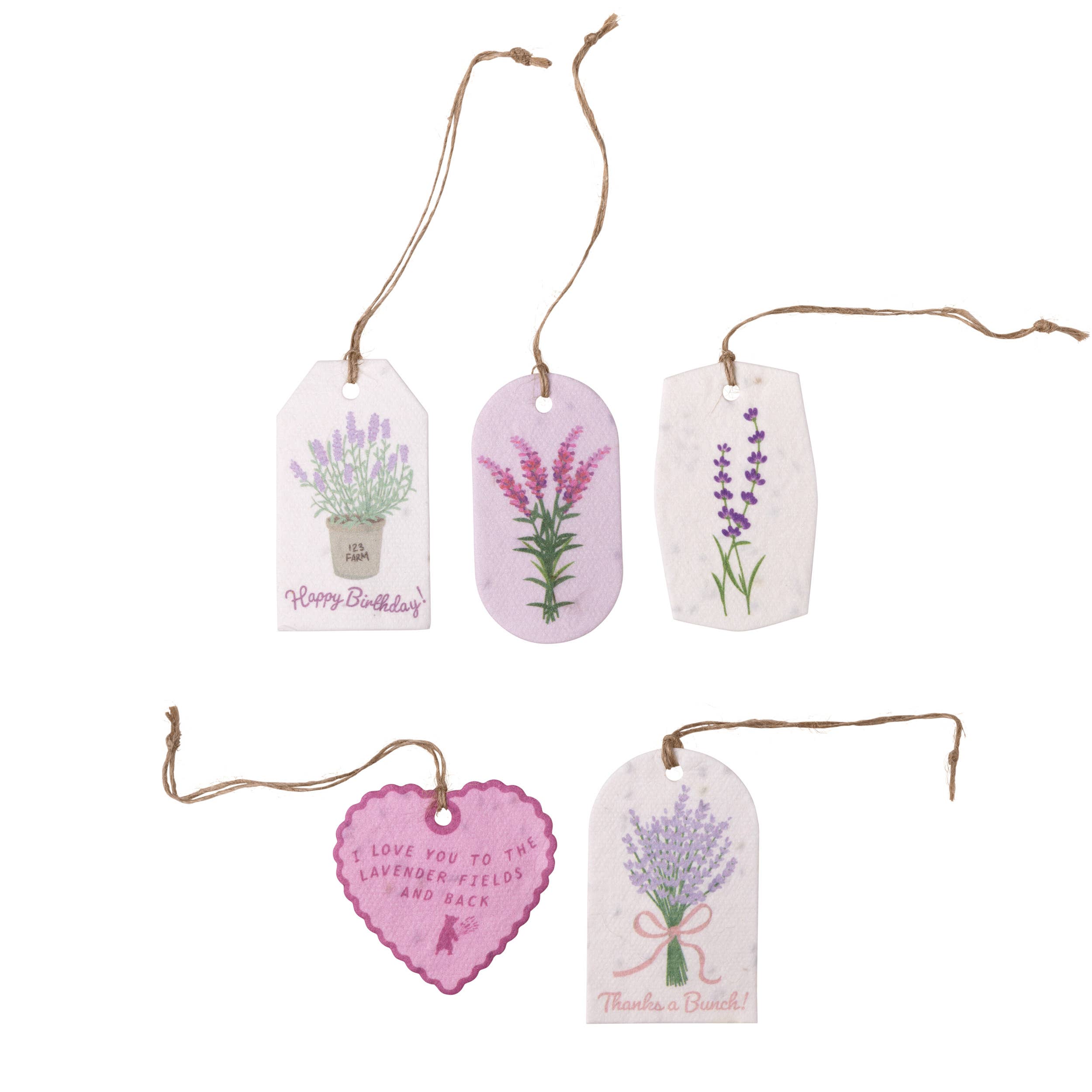 Plantable Seed Gift Tags - Vintage Seed Design, 5 Gift Tags: Daisies - Image 19