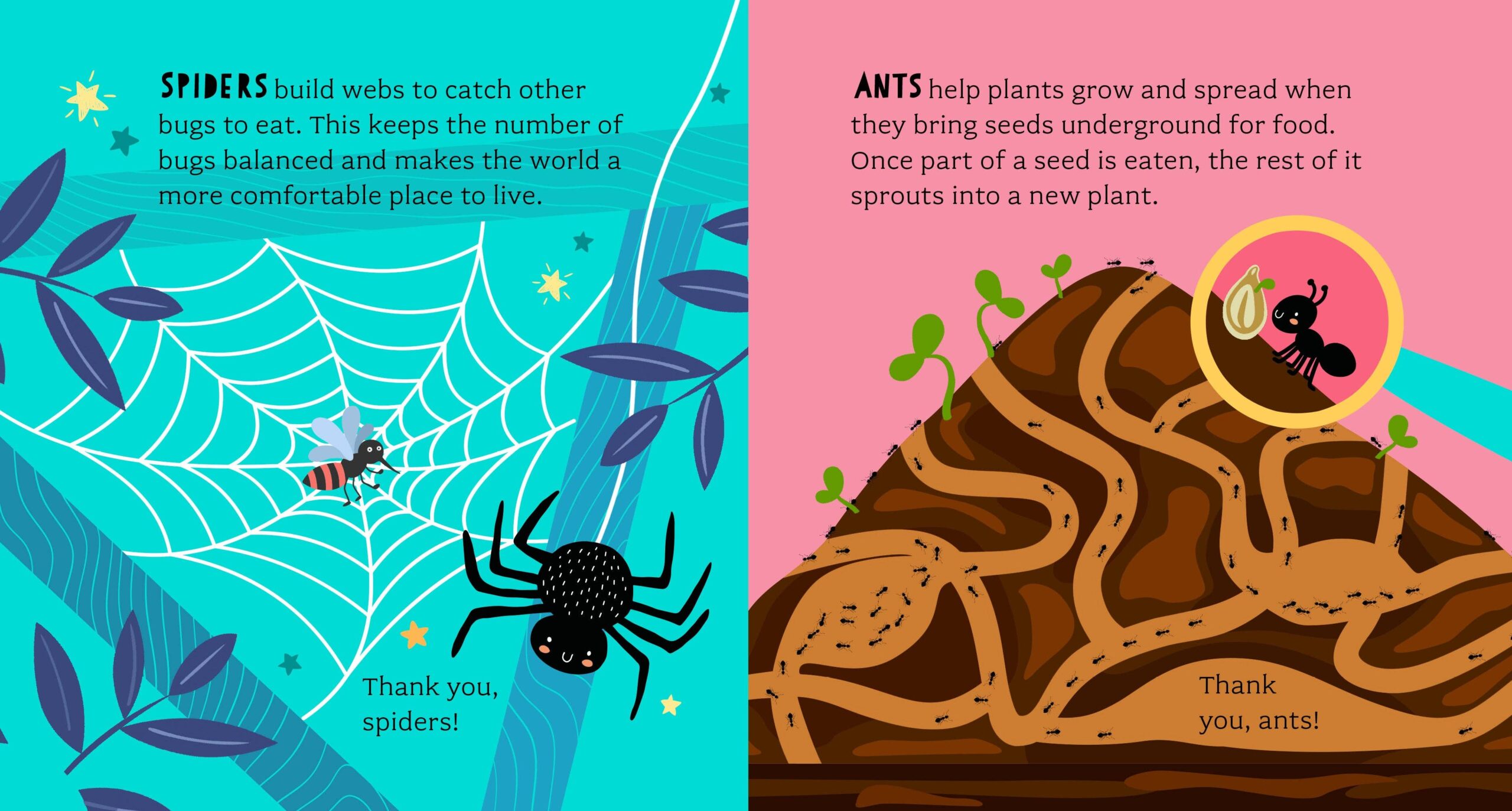 Bathtub Genius: Let's Learn About Bugs - Image 7