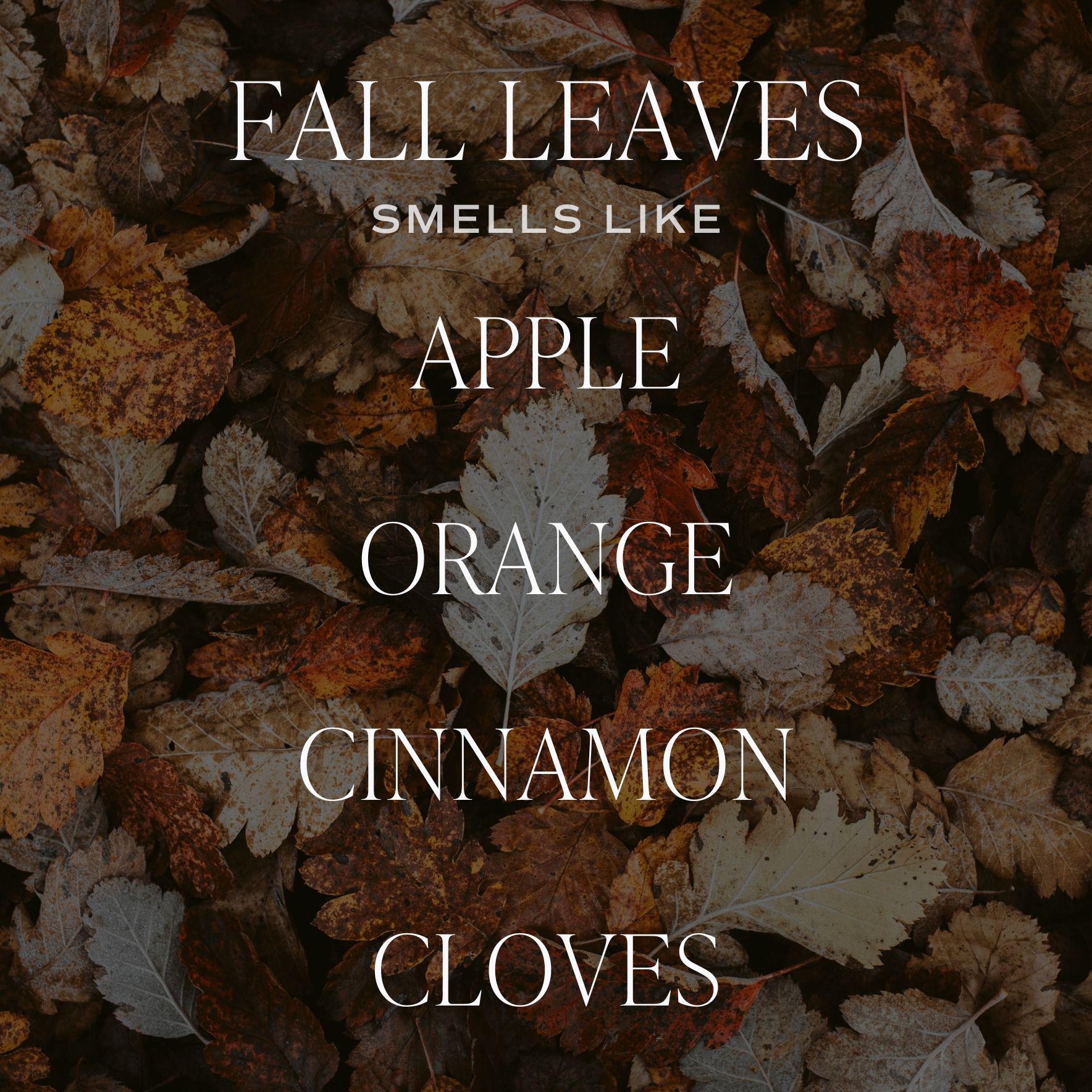 Fall Leaves 15 oz Candle, Matte Jar - Image 3