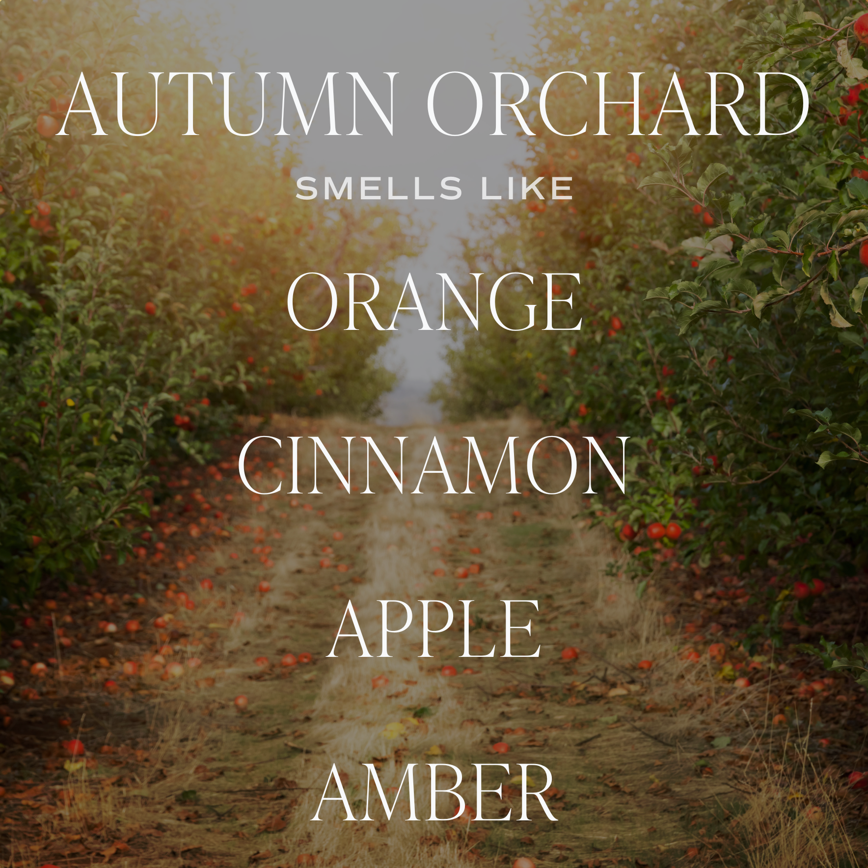 Autumn Orchard 9 oz Soy Candle - Image 4