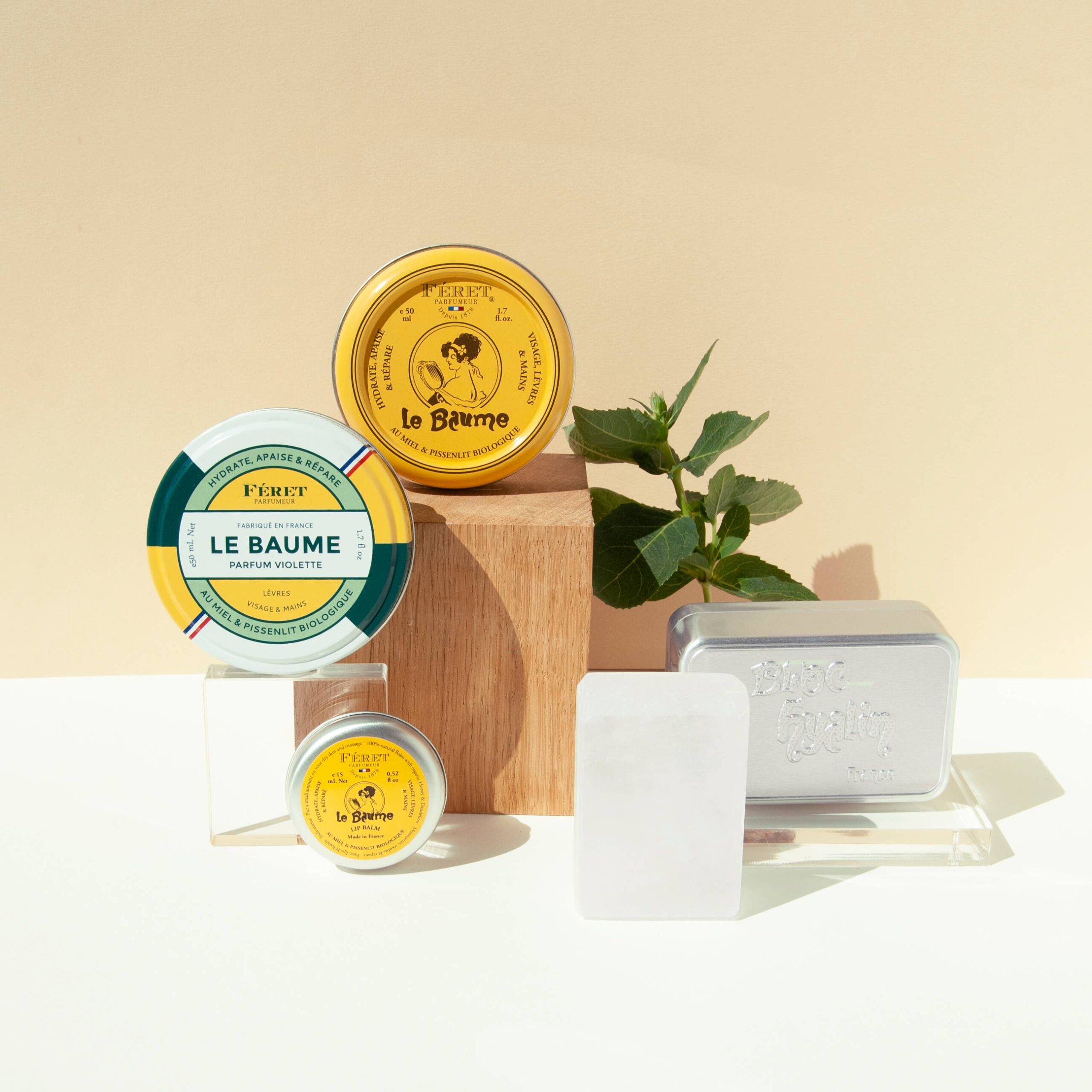 Feret Parfumeur - Distributed by Scents of Europe - Violette Le Baume - 1.7 oz - Image 5