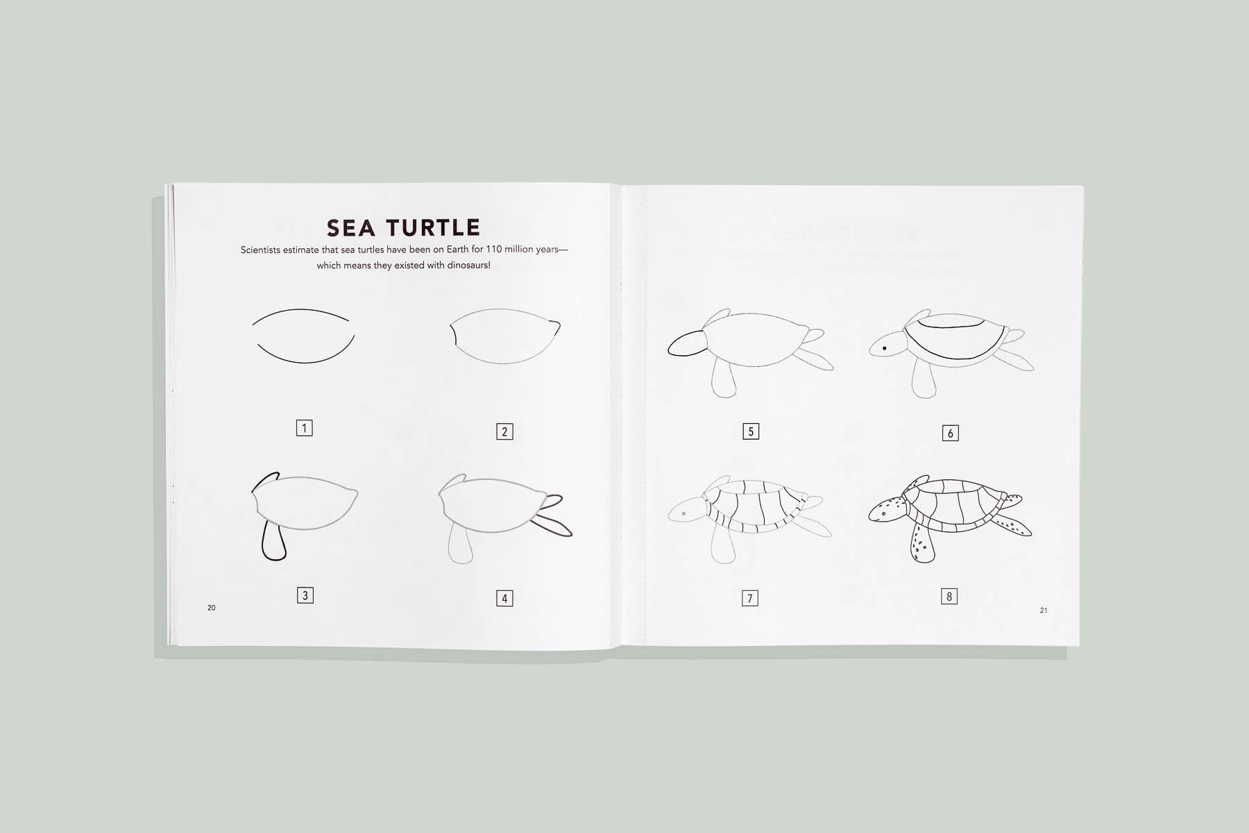 Under the Sea: A How to Draw Art Book for Kids - Image 2