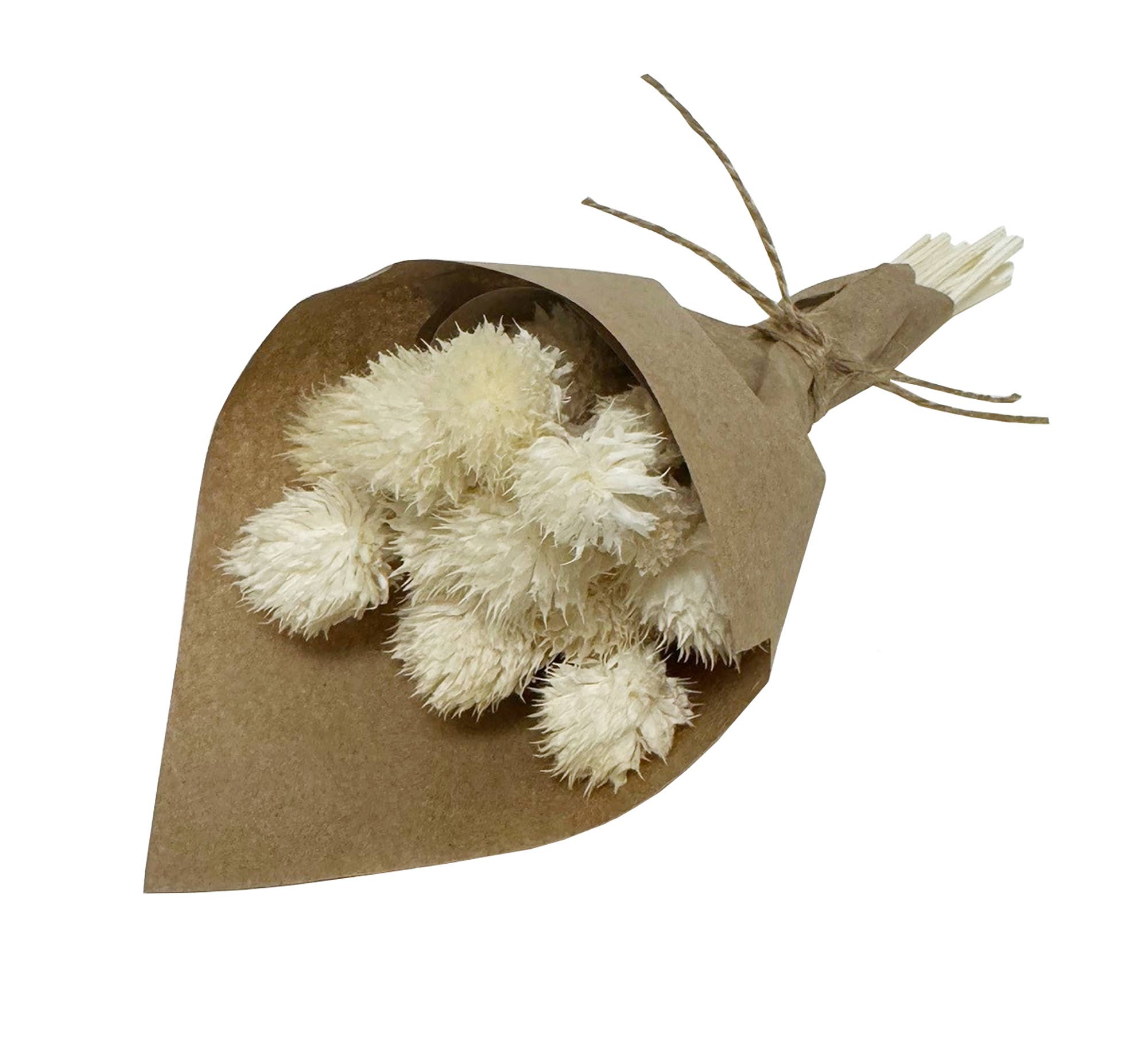 Andaluca - MINI Gomphrena Bundle