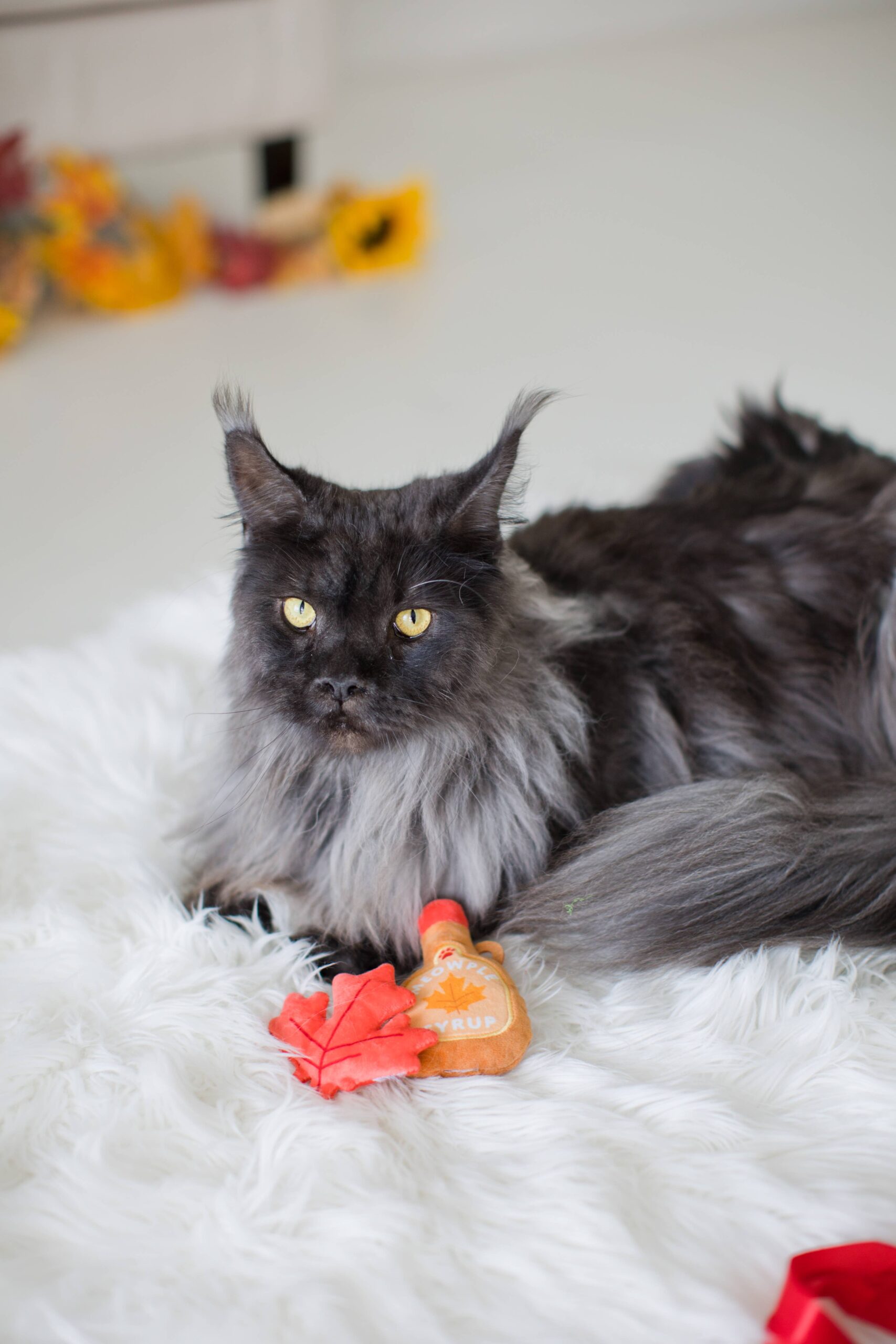 Maple Leaf & Syrup Fall Cat Toys, Set of 2 - Image 2