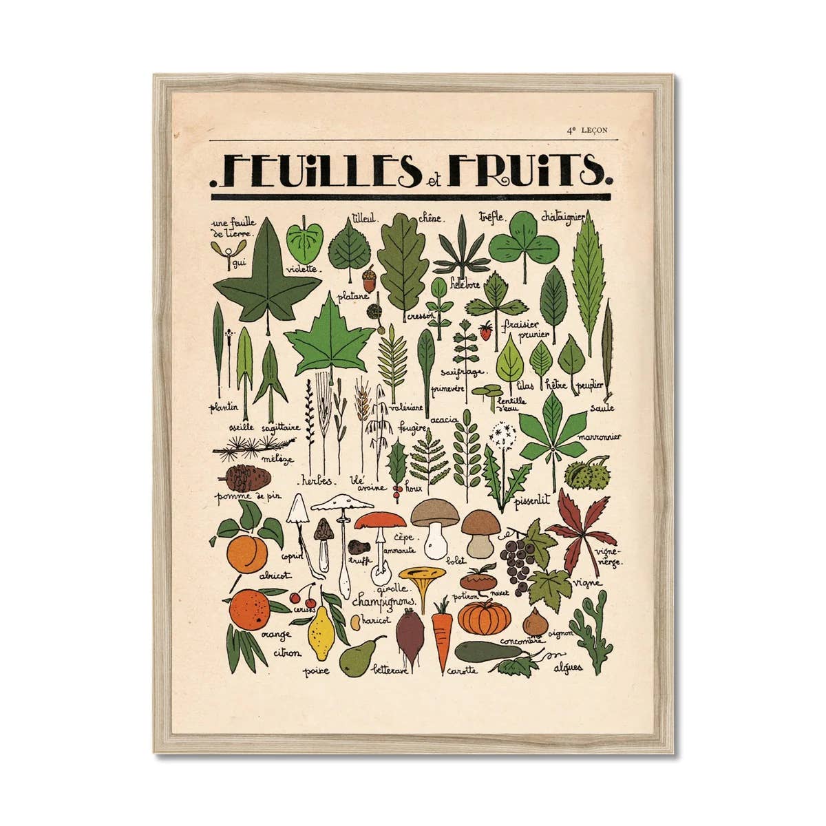 Roomytown Inc - Feuilles et Fruits Fine Art Print - Image 5