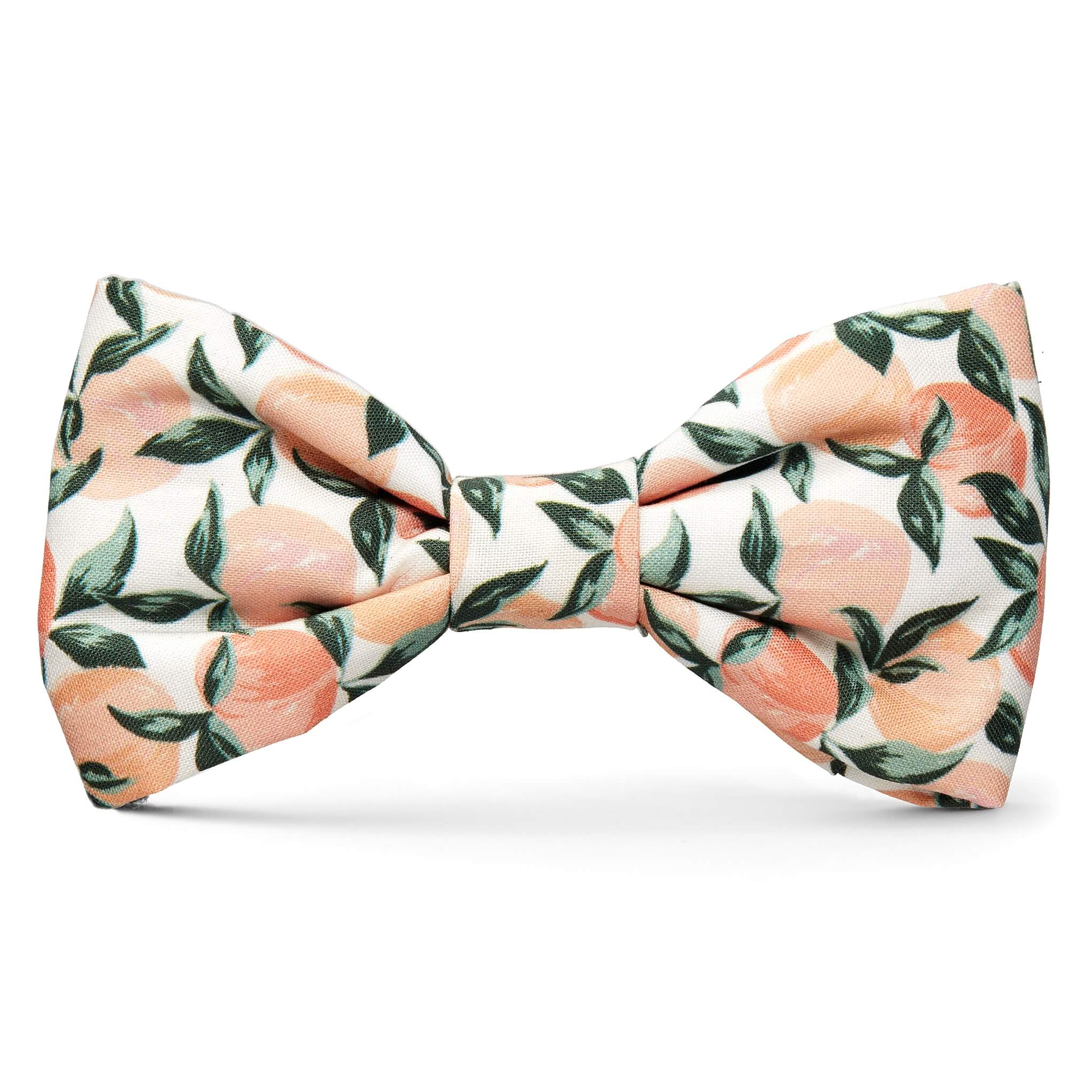 Peaches and Cream Dog Bow Tie: Large