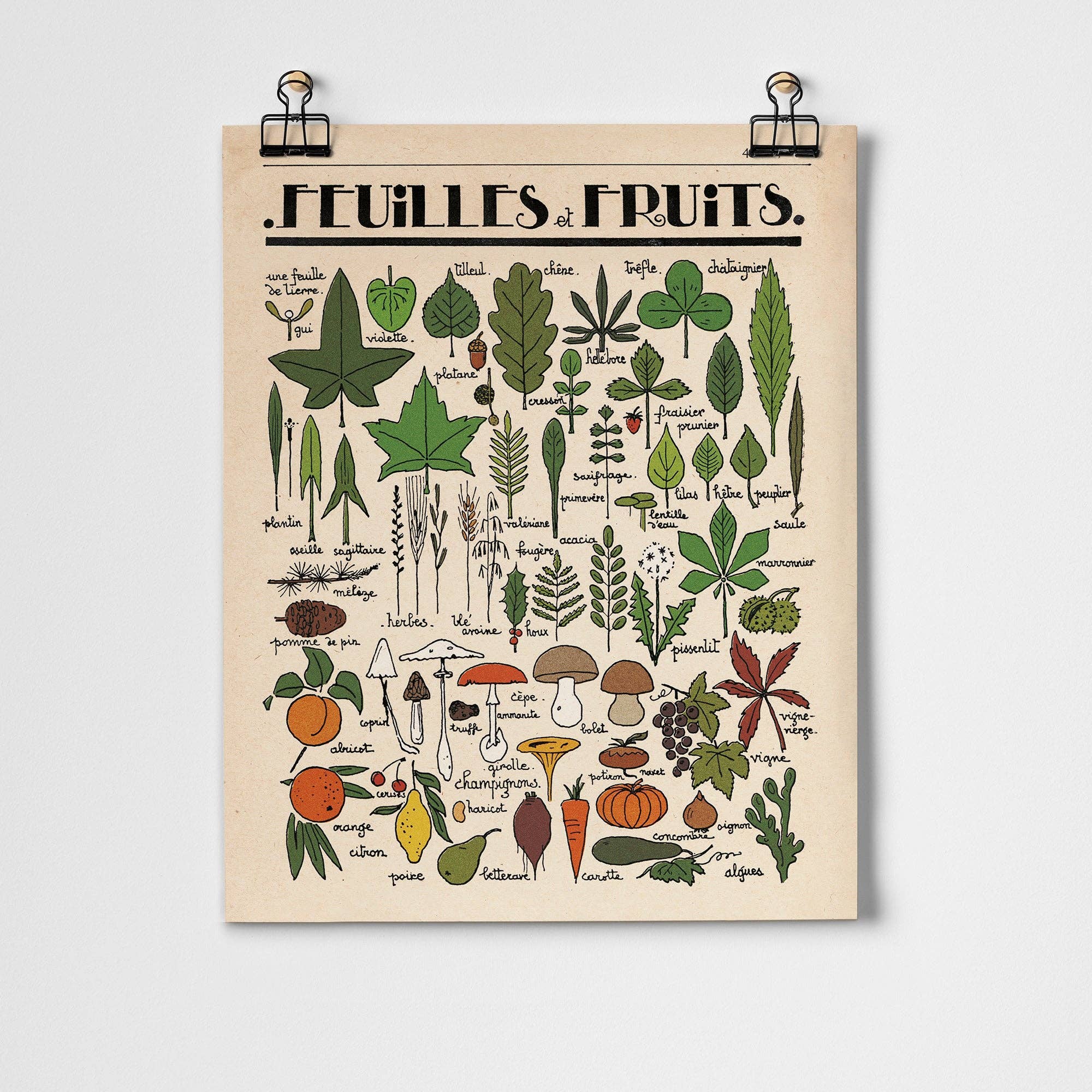 Roomytown Inc - Feuilles et Fruits Fine Art Print