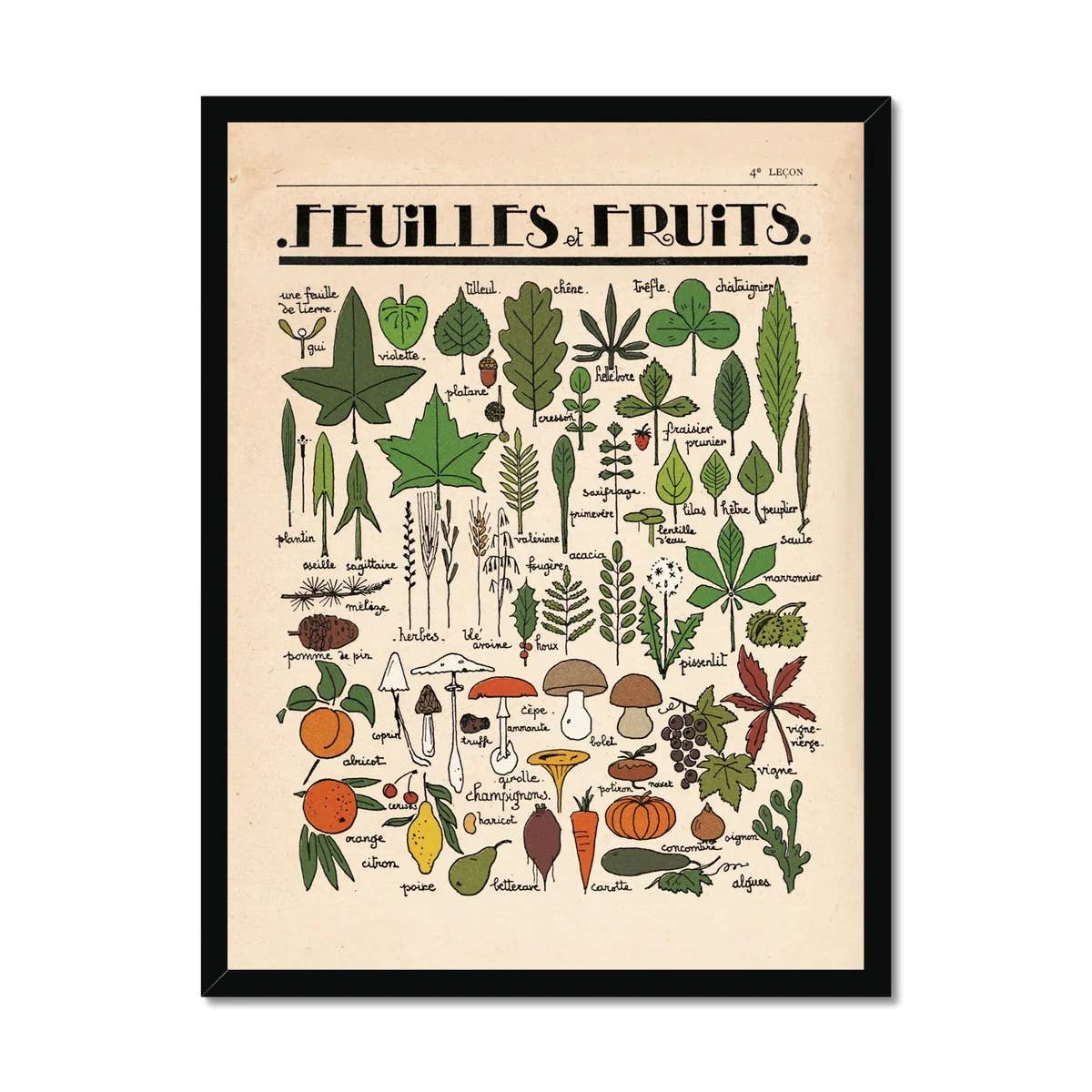 Roomytown Inc - Feuilles et Fruits Fine Art Print - Image 6