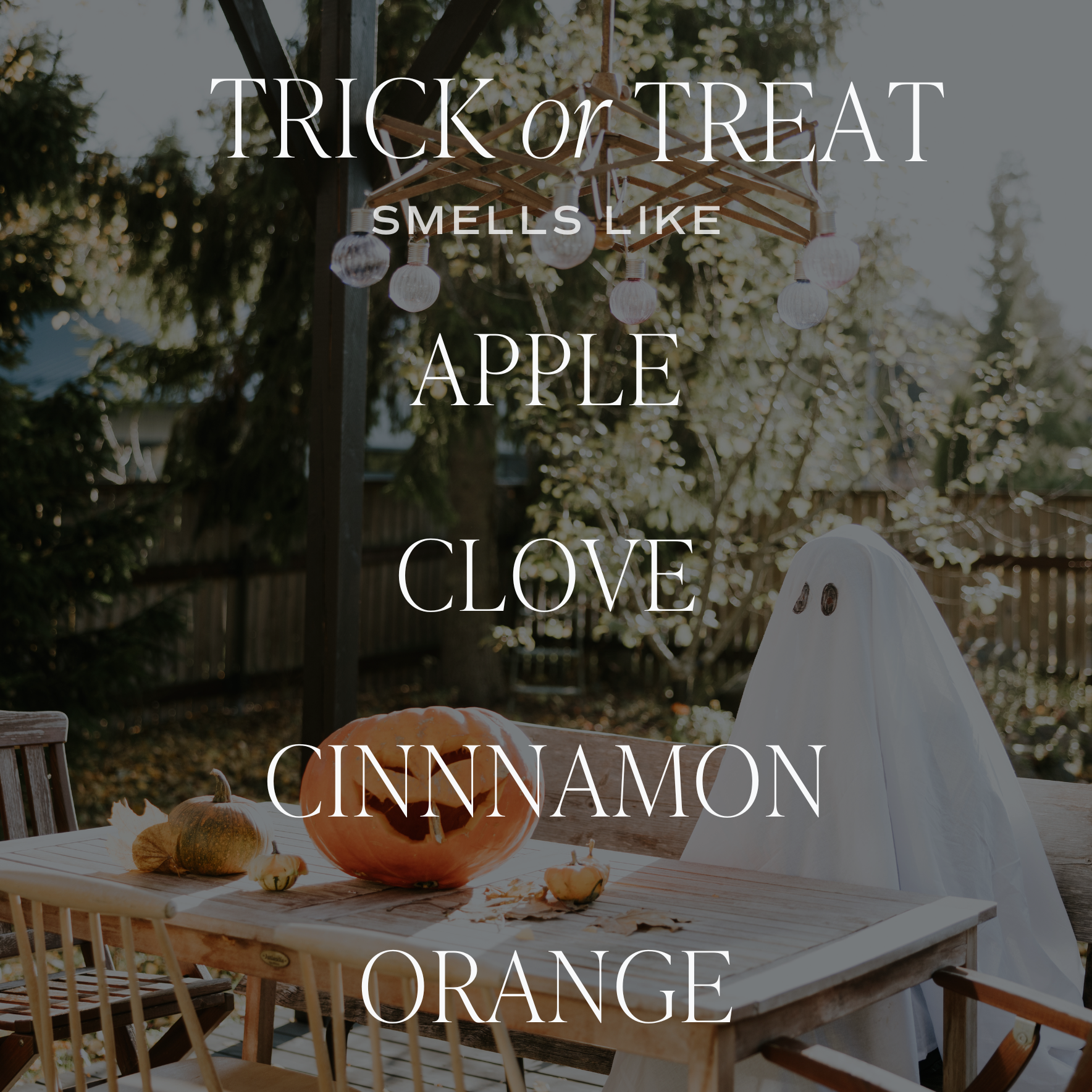 Trick or Treat 15 oz Soy Candle, Matte Jar - Image 7