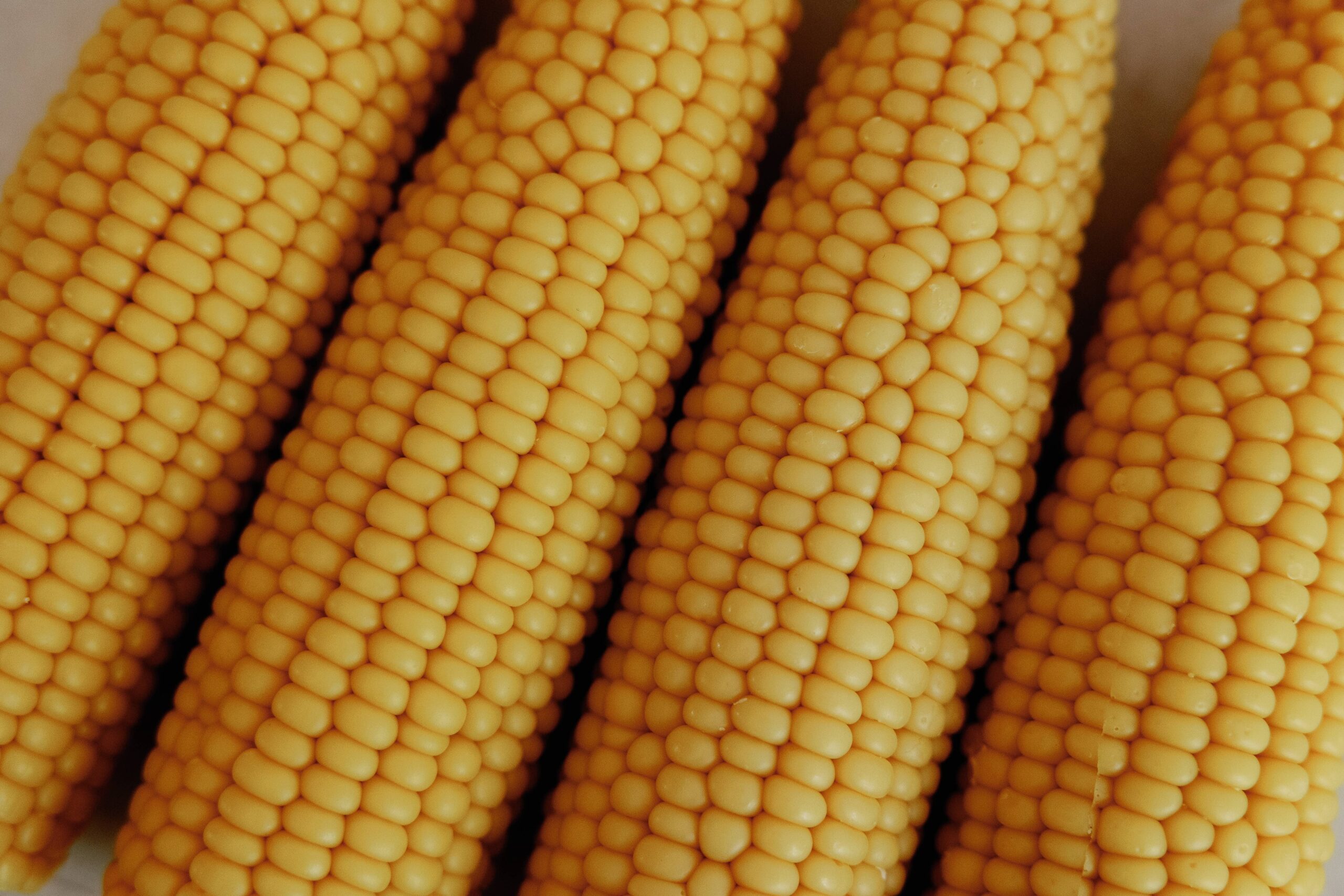 Corn cob pillar candle, 1pc corn, Pumpkin Chai