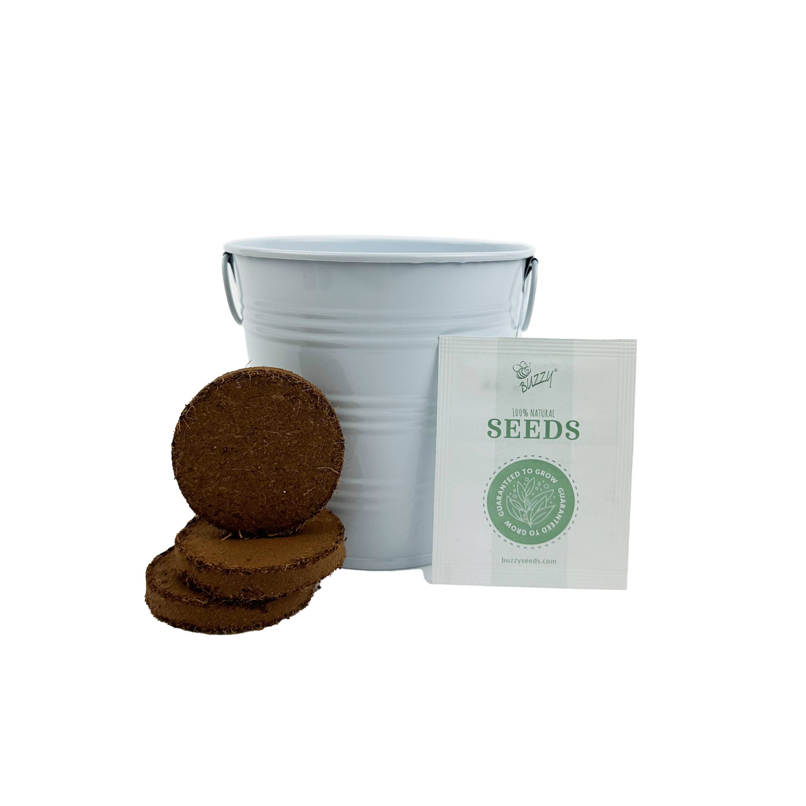 Painted Flower Grow Pail - Forget-Me-Not Grow Kit - Image 3