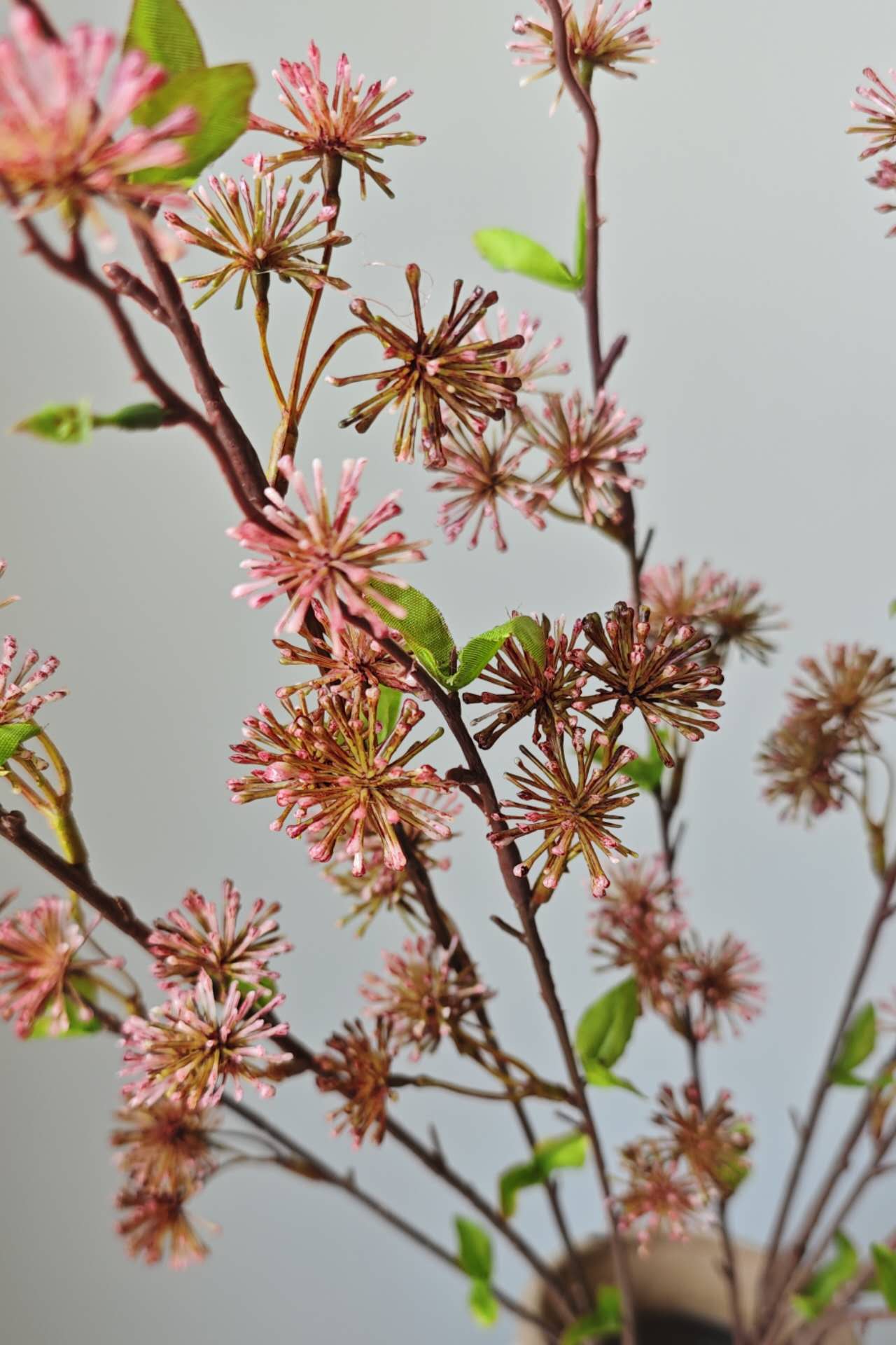 ES Essentials - Eucalyptus Seed Bush X 12, 36"H, Pink/Brown - Image 4