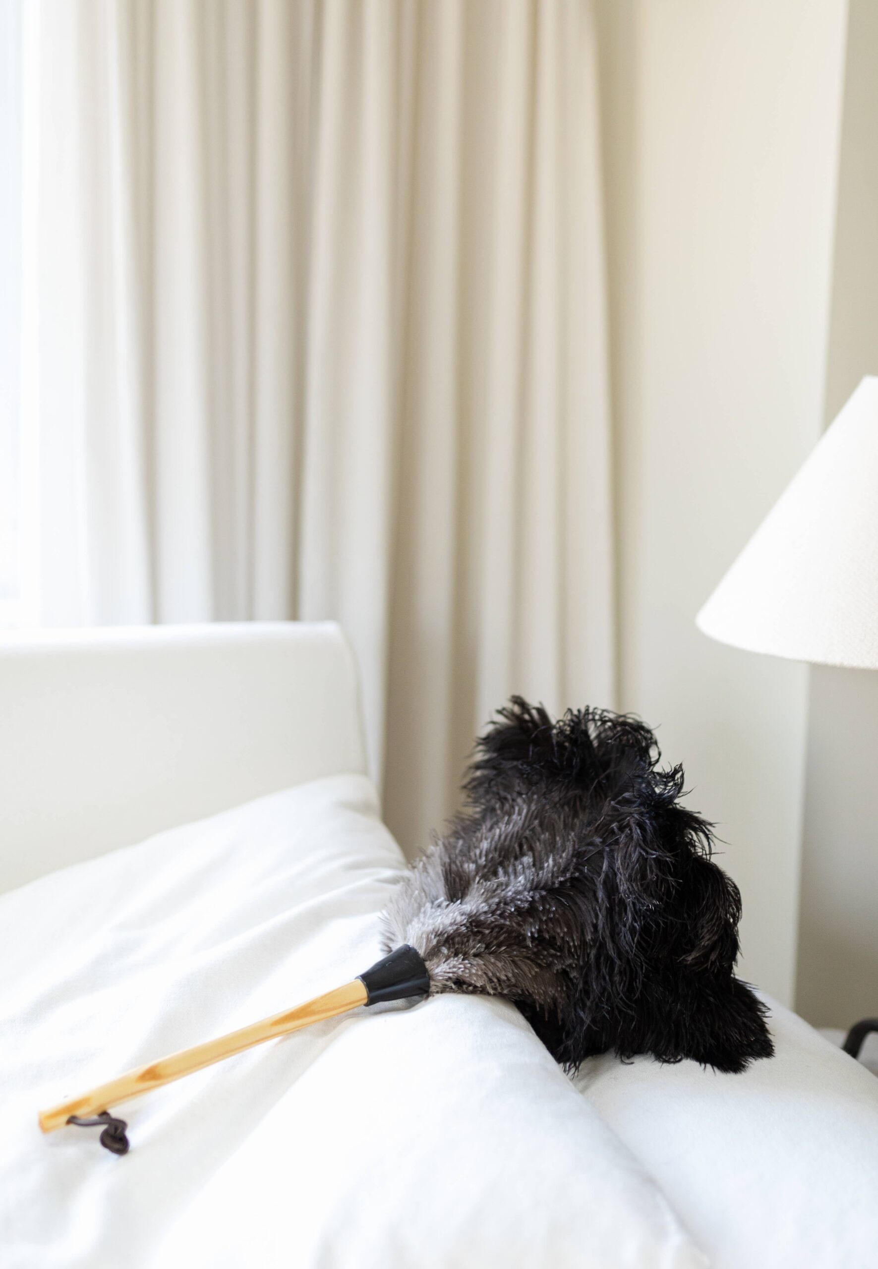 Millstream Home - The Feather Duster