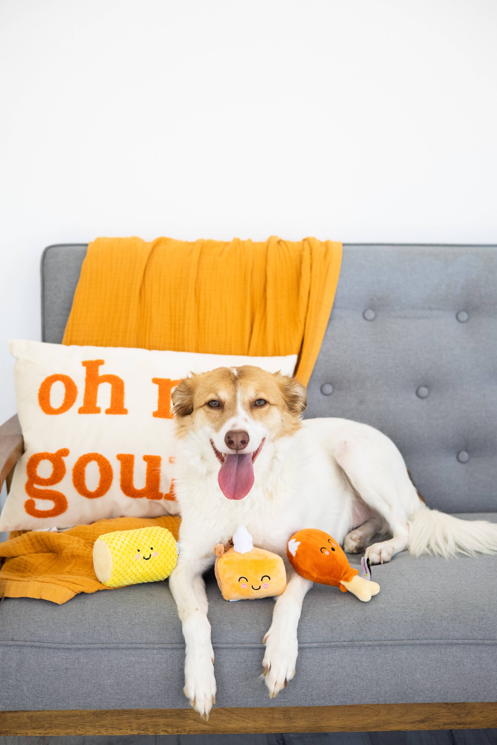 Thanksgiving Dinner Fall Dog Toys, Set of 3 - Image 2