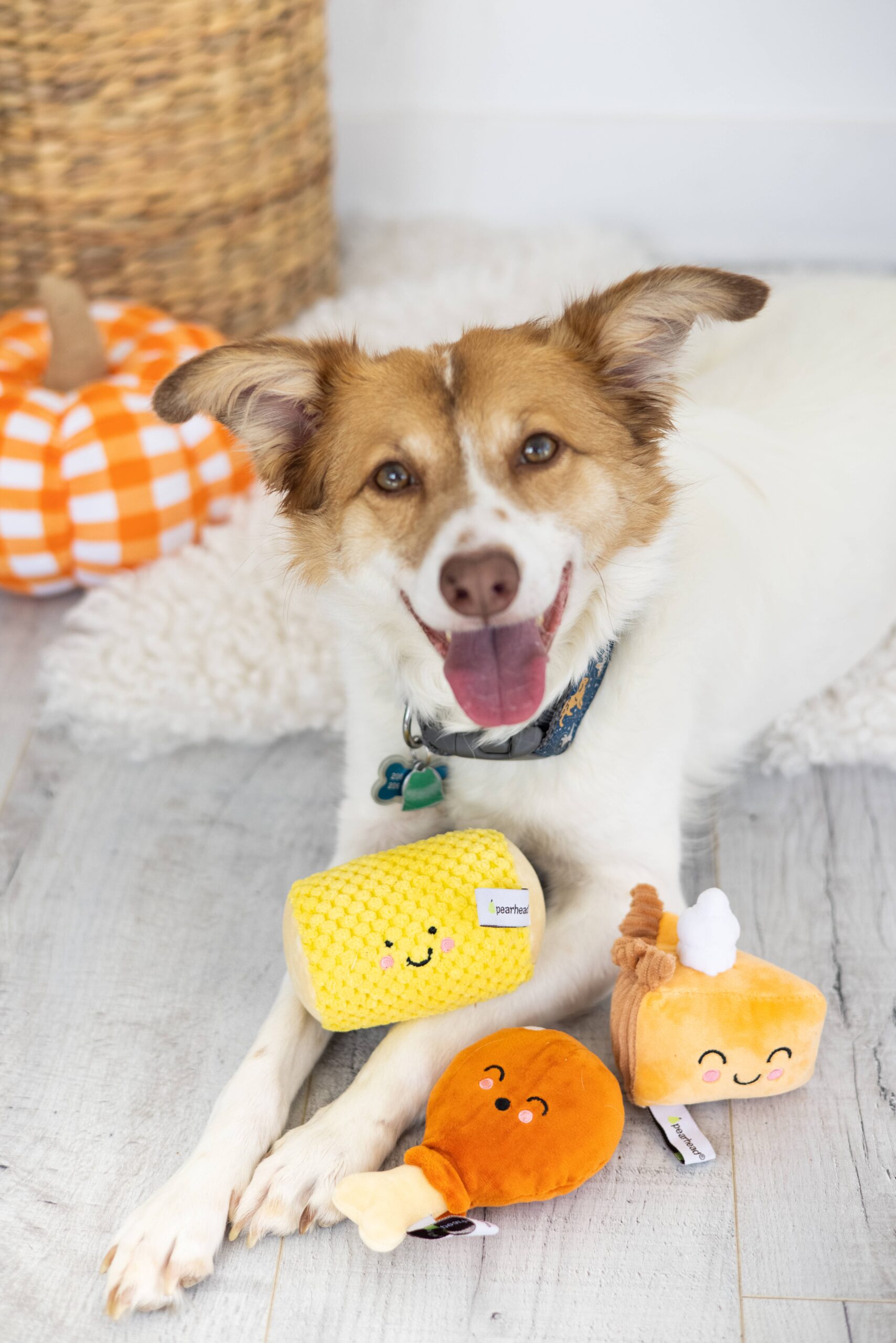 Thanksgiving Dinner Fall Dog Toys, Set of 3 - Image 3