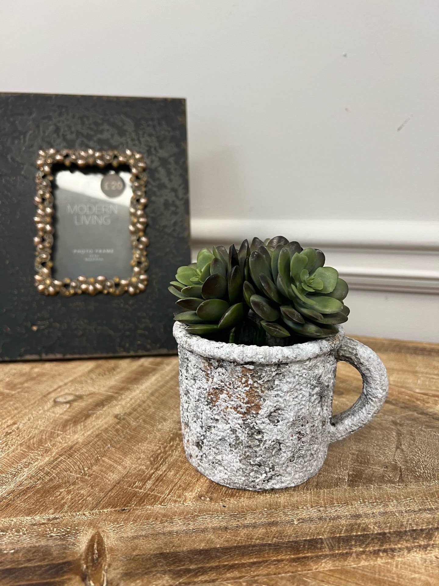 Cement Rustic Mug Planter