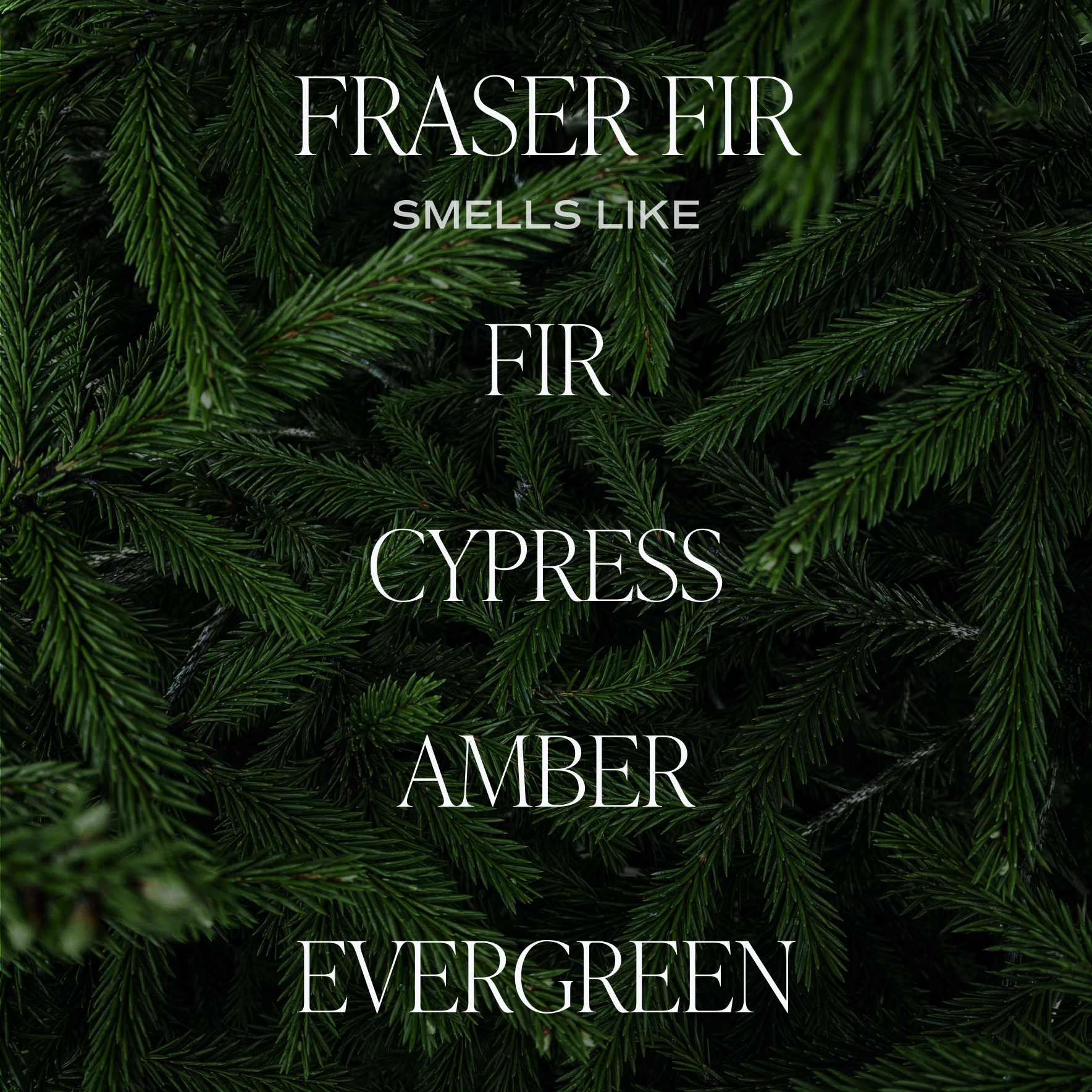 Fraser Fir 12 oz Soy Candle-Christmas Home Decor & Gift - Image 7