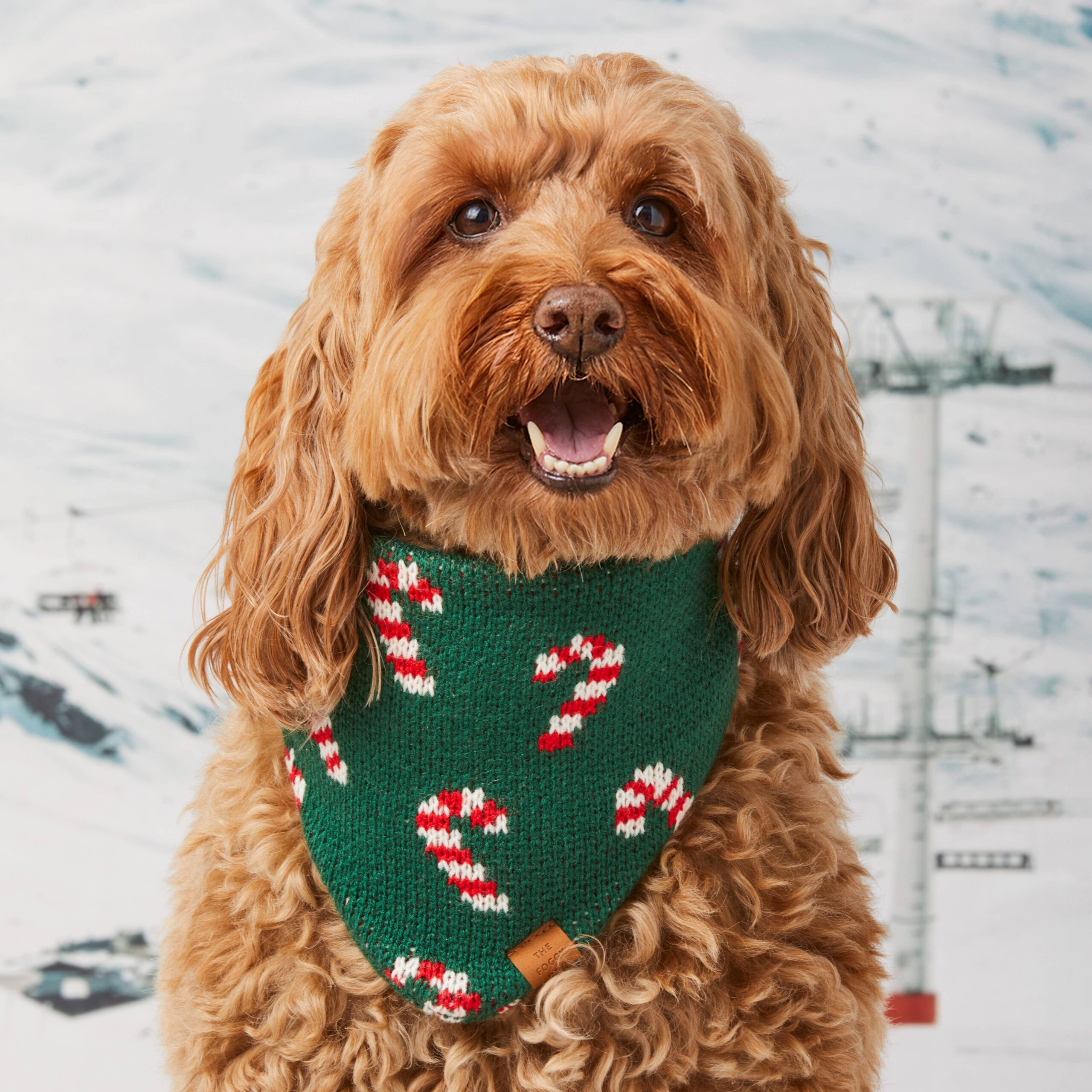 Candy Cane Knit Holiday Dog Bandana: Large - Image 3
