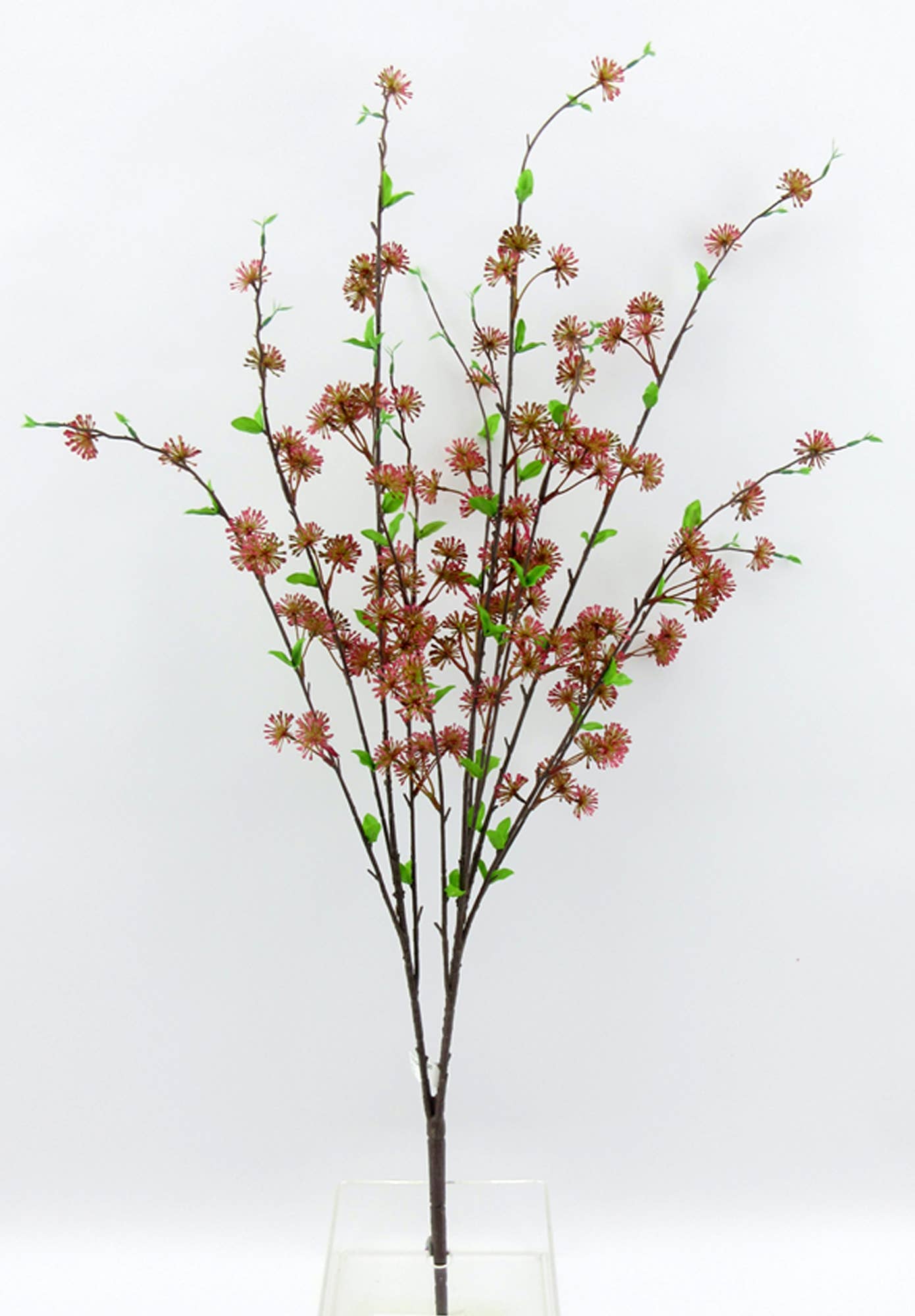 ES Essentials - Eucalyptus Seed Bush X 12, 36"H, Pink/Brown - Image 6