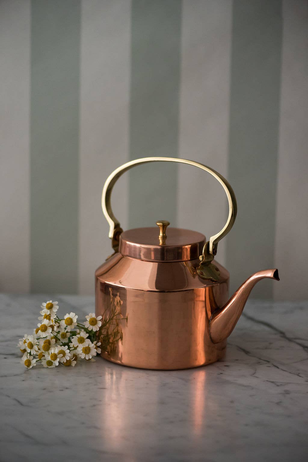 Galley and Fen - English Copper Tea Kettle