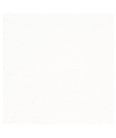 White Bengal Rose Diffuser - Image 5