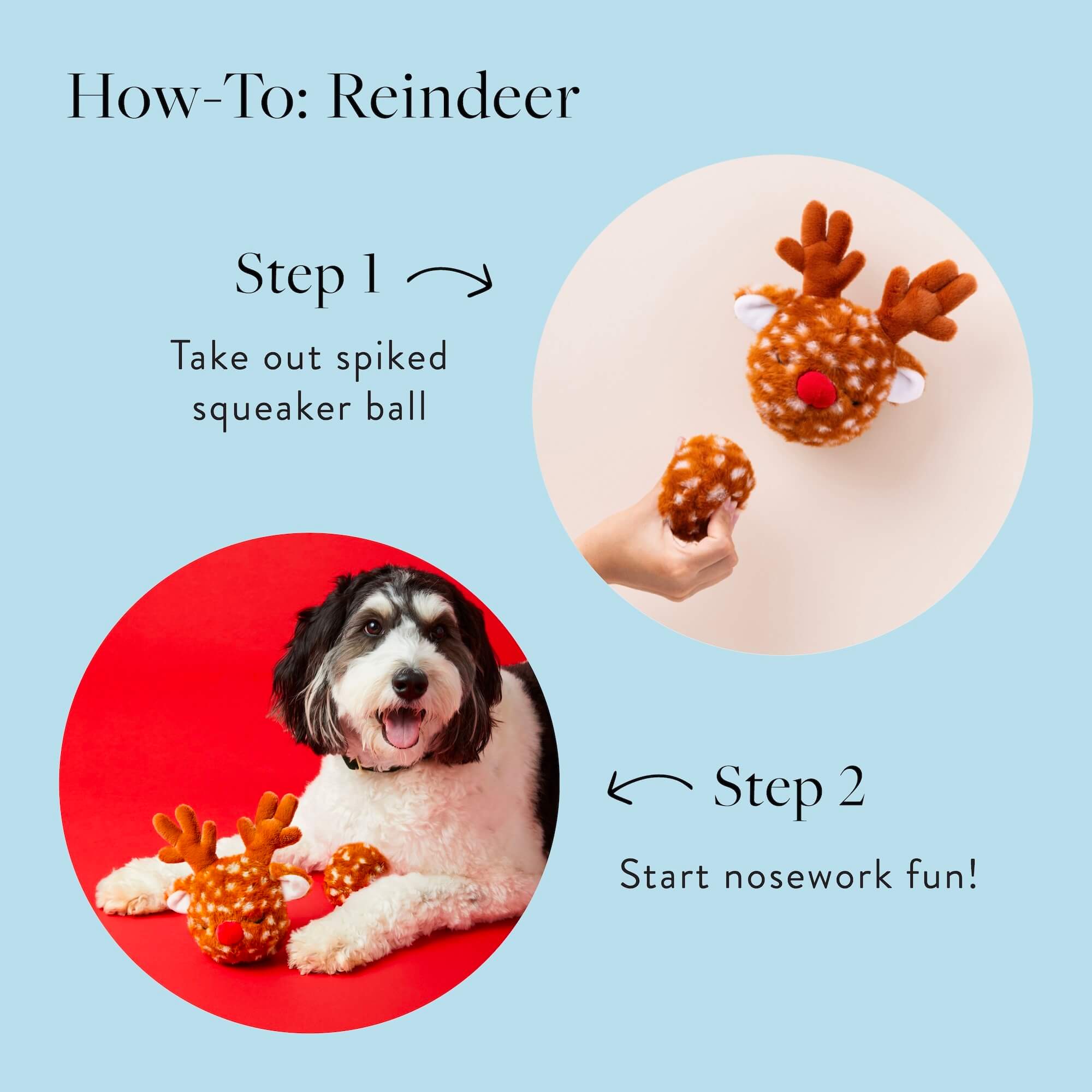 Reindeer 2-in-1 Bounce Dog Toy - Image 4