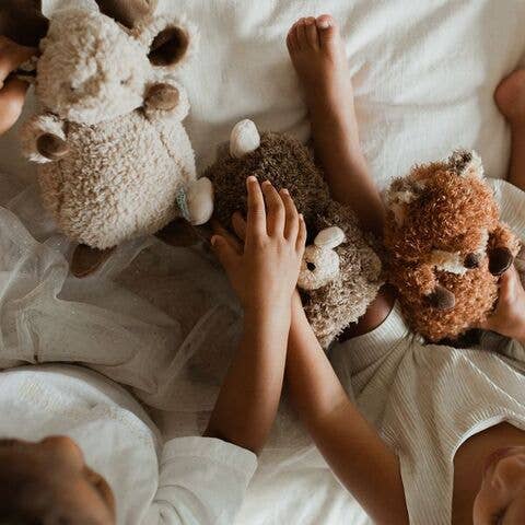 Wee Foxy the Fox - Image 2