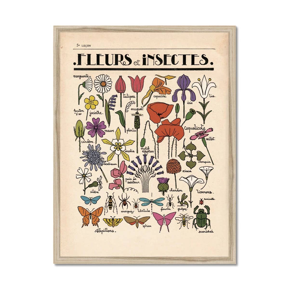 Roomytown Inc - Fleurs et Insectes Fine Art Print - Image 4