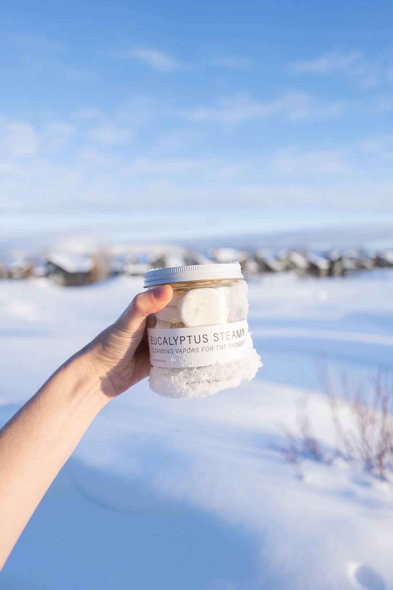 No Tox Life - EUCALYPTUS STEAM® Cleansing vapors for the shower™ (GRANDE) - Image 3