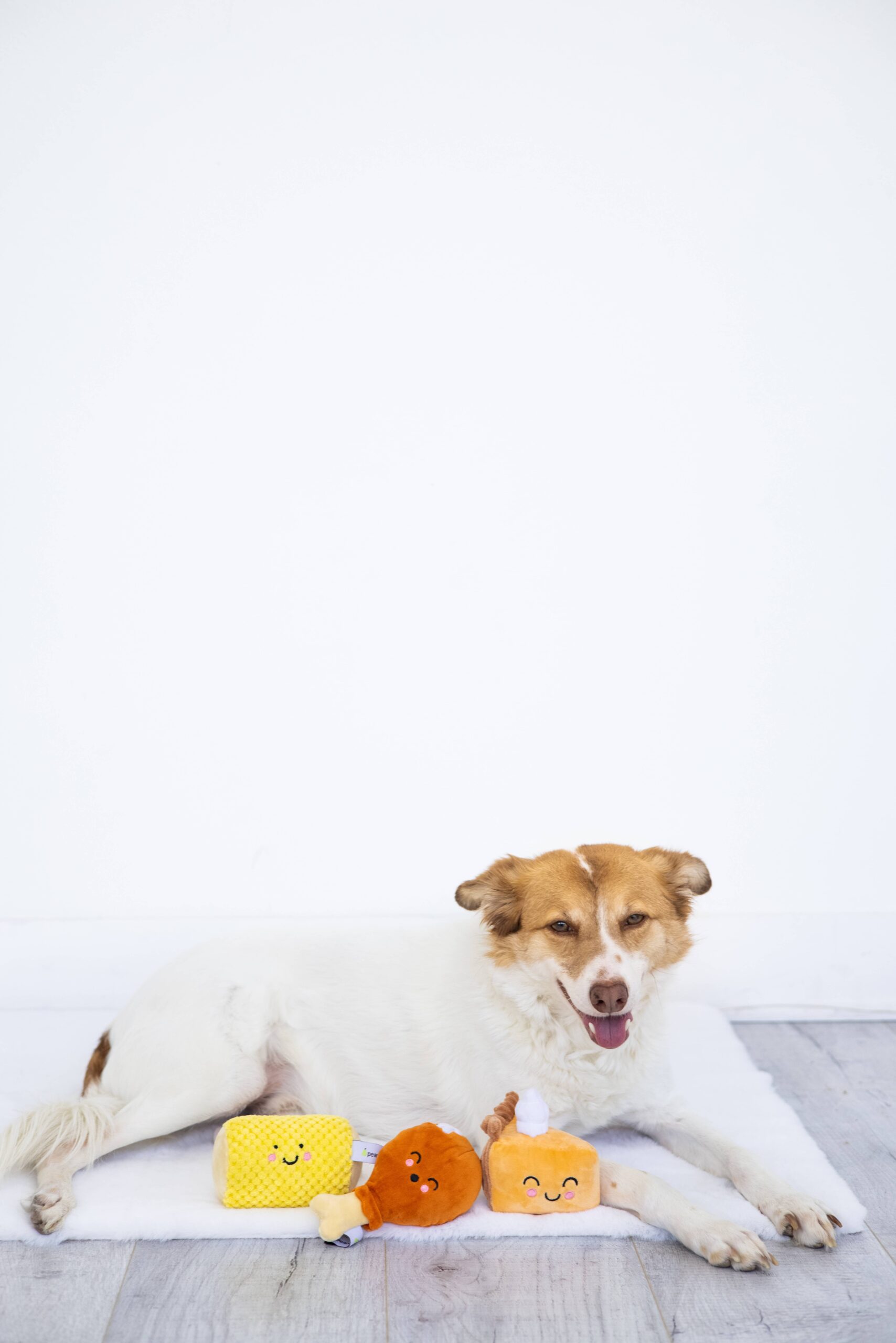 Thanksgiving Dinner Fall Dog Toys, Set of 3 - Image 5