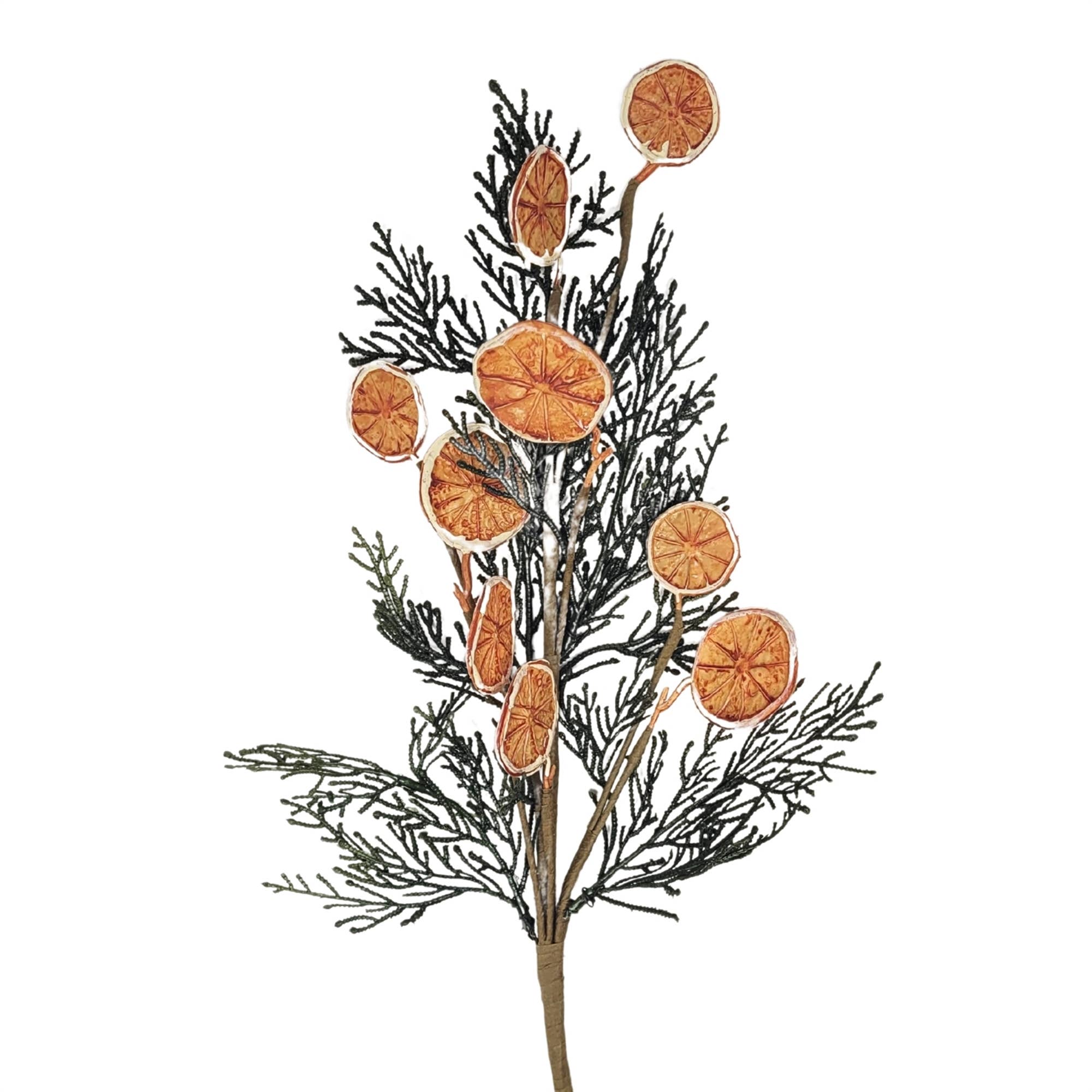 Fern Orange Slice Spray 24”