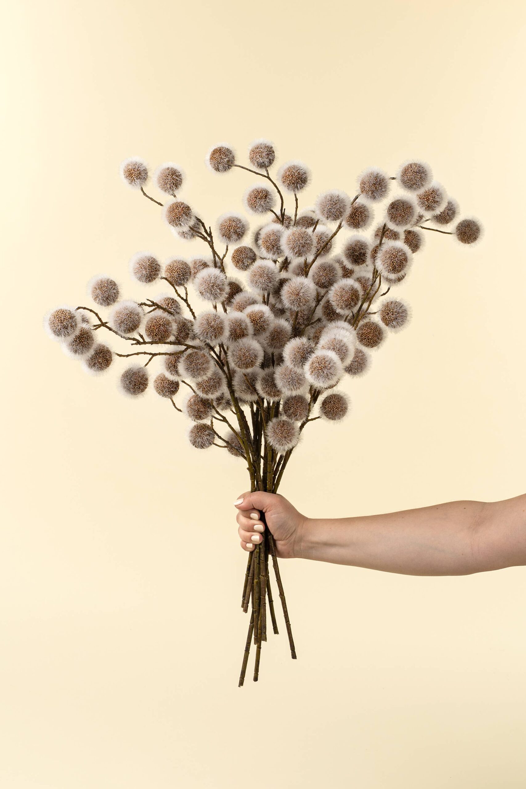 Sycamore Pod Spray - Image 2