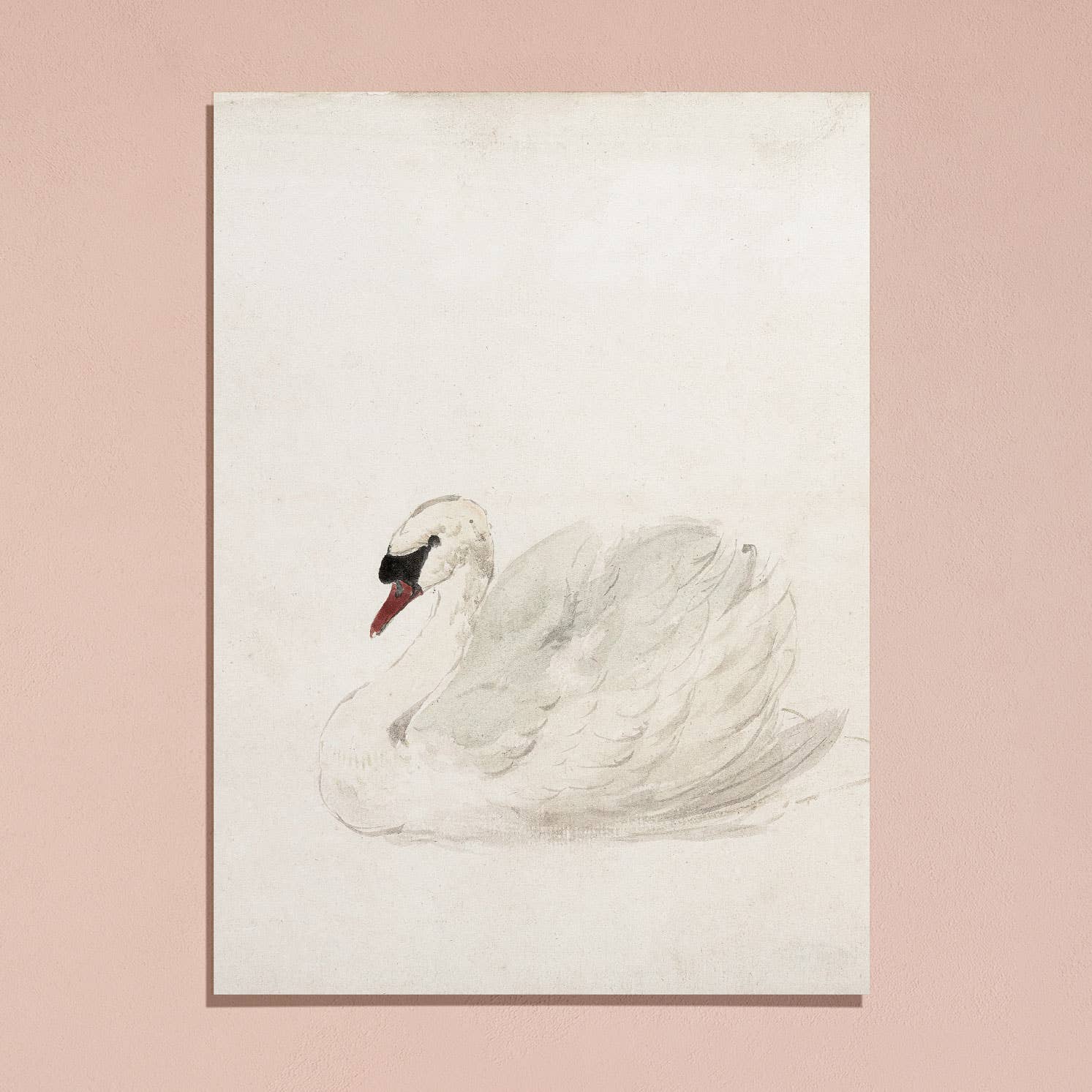 Sugar & Canvas - Vintage European Swan Animal Portrait Art Print VP111 - Image 6