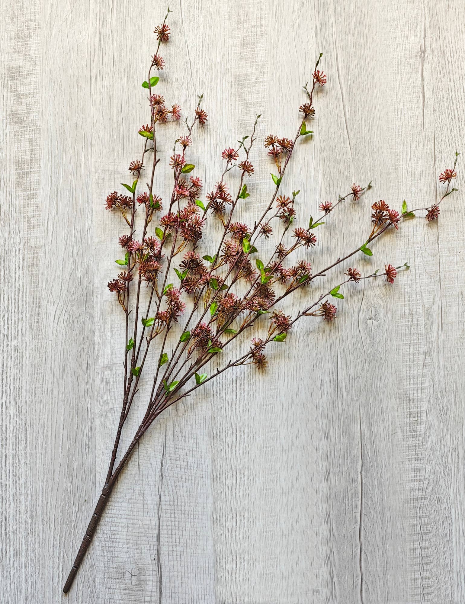 ES Essentials - Eucalyptus Seed Bush X 12, 36"H, Pink/Brown - Image 2