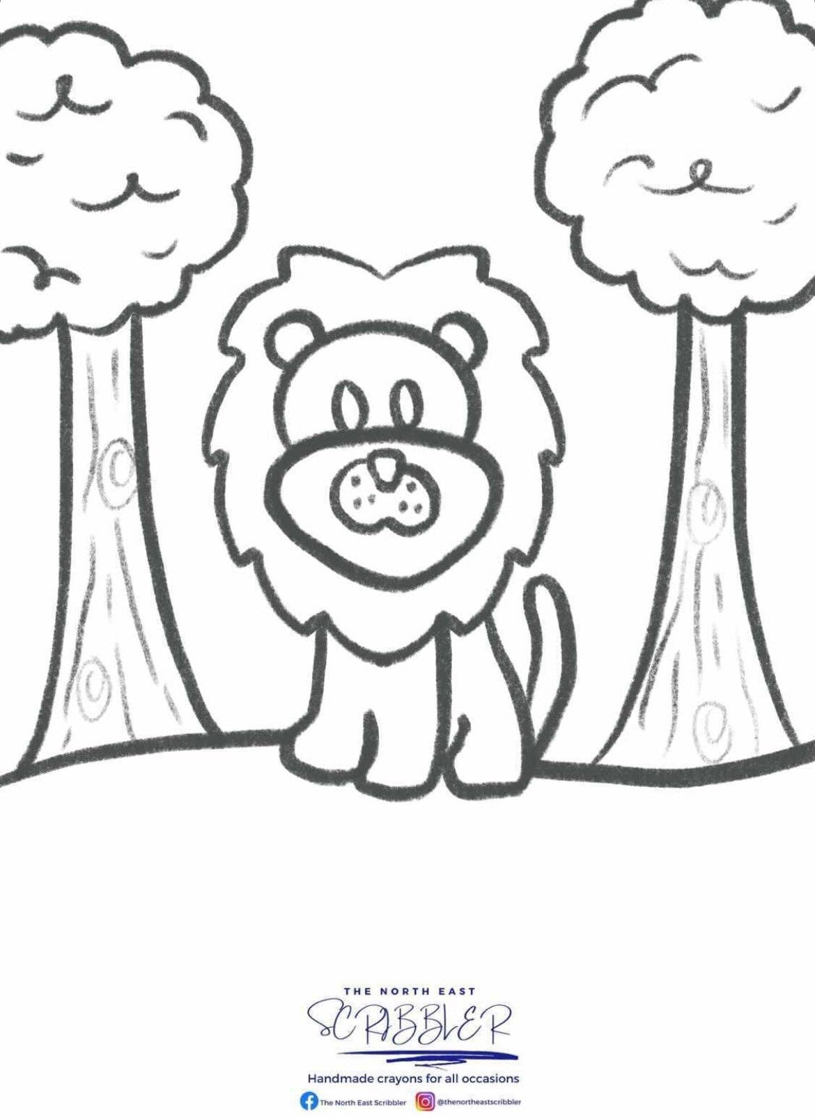 The North East scribbler - Zoo Animals 🐘 - Image 5